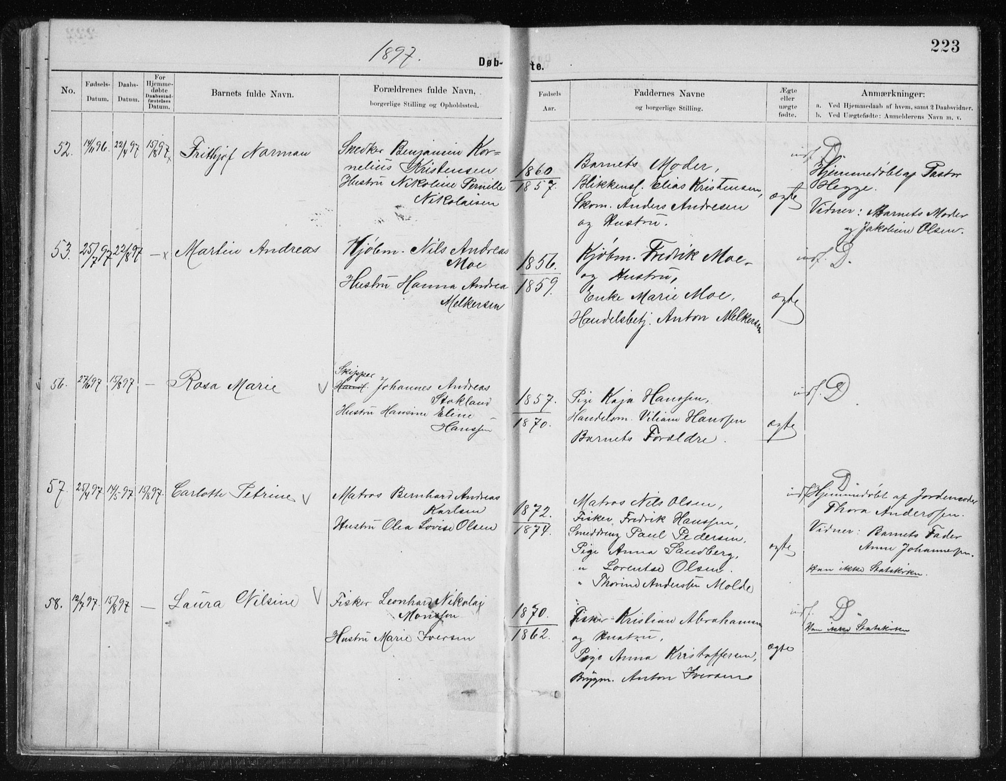 Ministerialprotokoller, klokkerbøker og fødselsregistre - Nordland, SAT/A-1459/801/L0032: Klokkerbok nr. 801C07, 1889-1897, s. 223