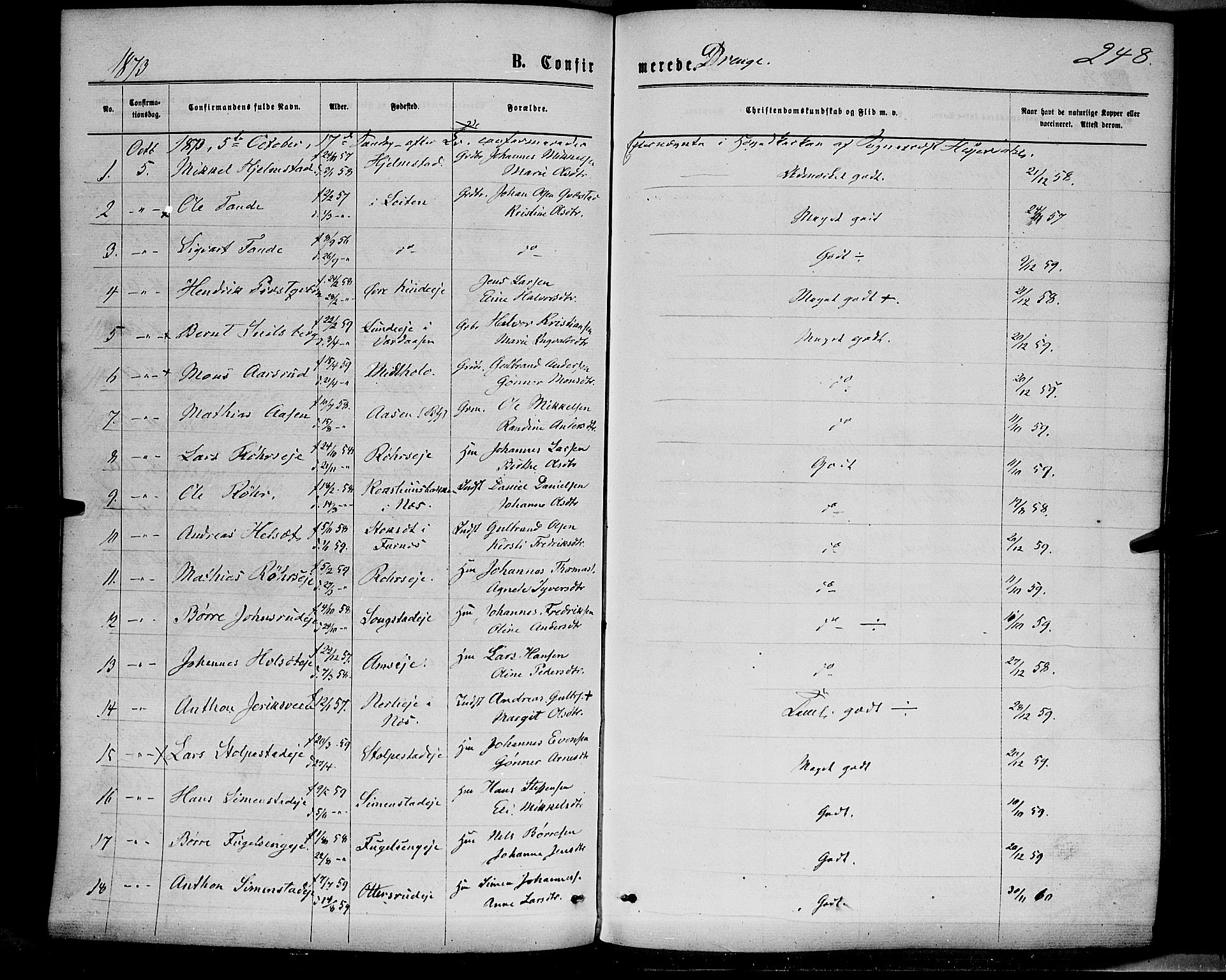 Ringsaker prestekontor, AV/SAH-PREST-014/K/Ka/L0011: Ministerialbok nr. 11, 1870-1878, s. 248