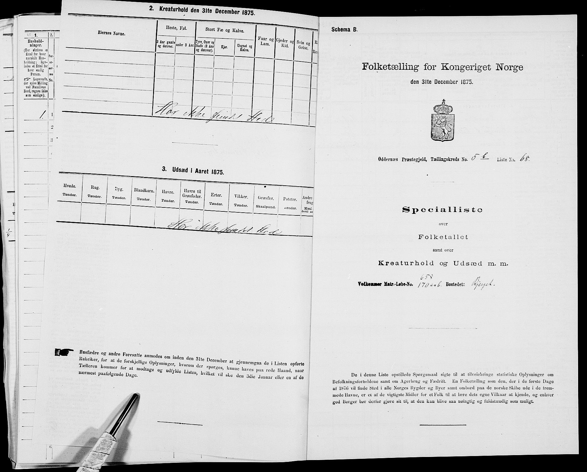 SAK, Folketelling 1875 for 1012P Oddernes prestegjeld, 1875, s. 982