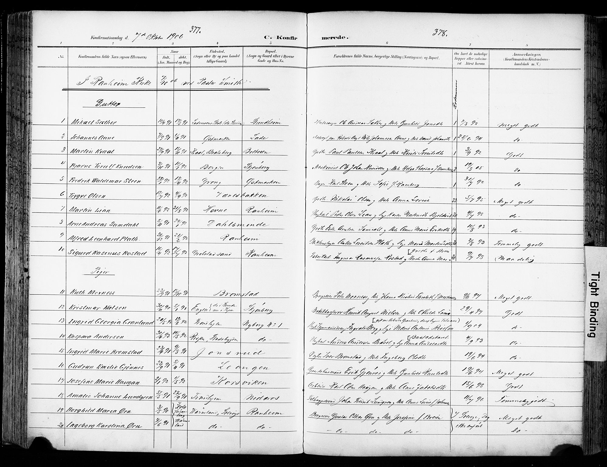 Ministerialprotokoller, klokkerbøker og fødselsregistre - Sør-Trøndelag, SAT/A-1456/606/L0301: Ministerialbok nr. 606A16, 1894-1907, s. 377-378