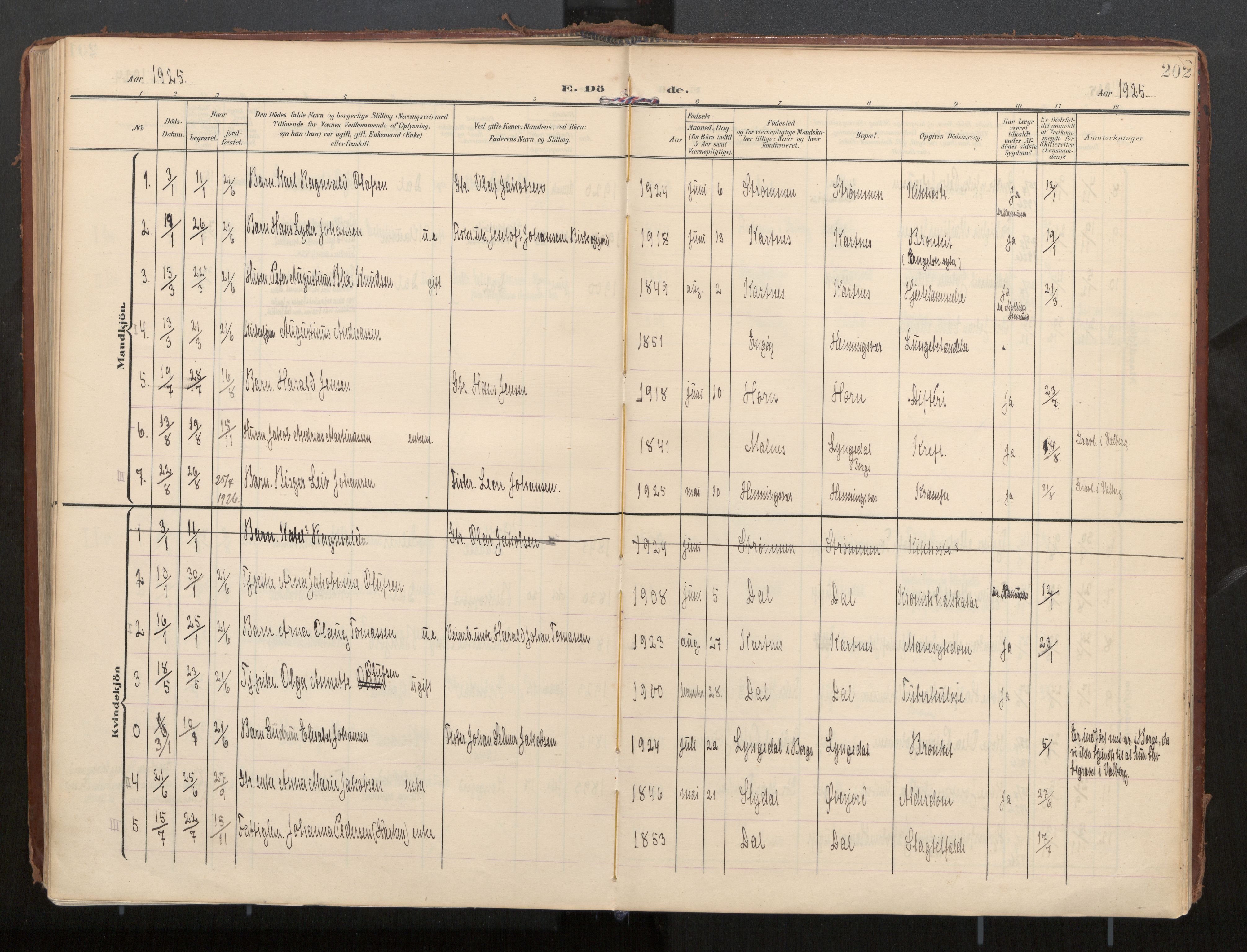 Ministerialprotokoller, klokkerbøker og fødselsregistre - Nordland, AV/SAT-A-1459/884/L1194: Ministerialbok nr. 884A02, 1906-1937, s. 202