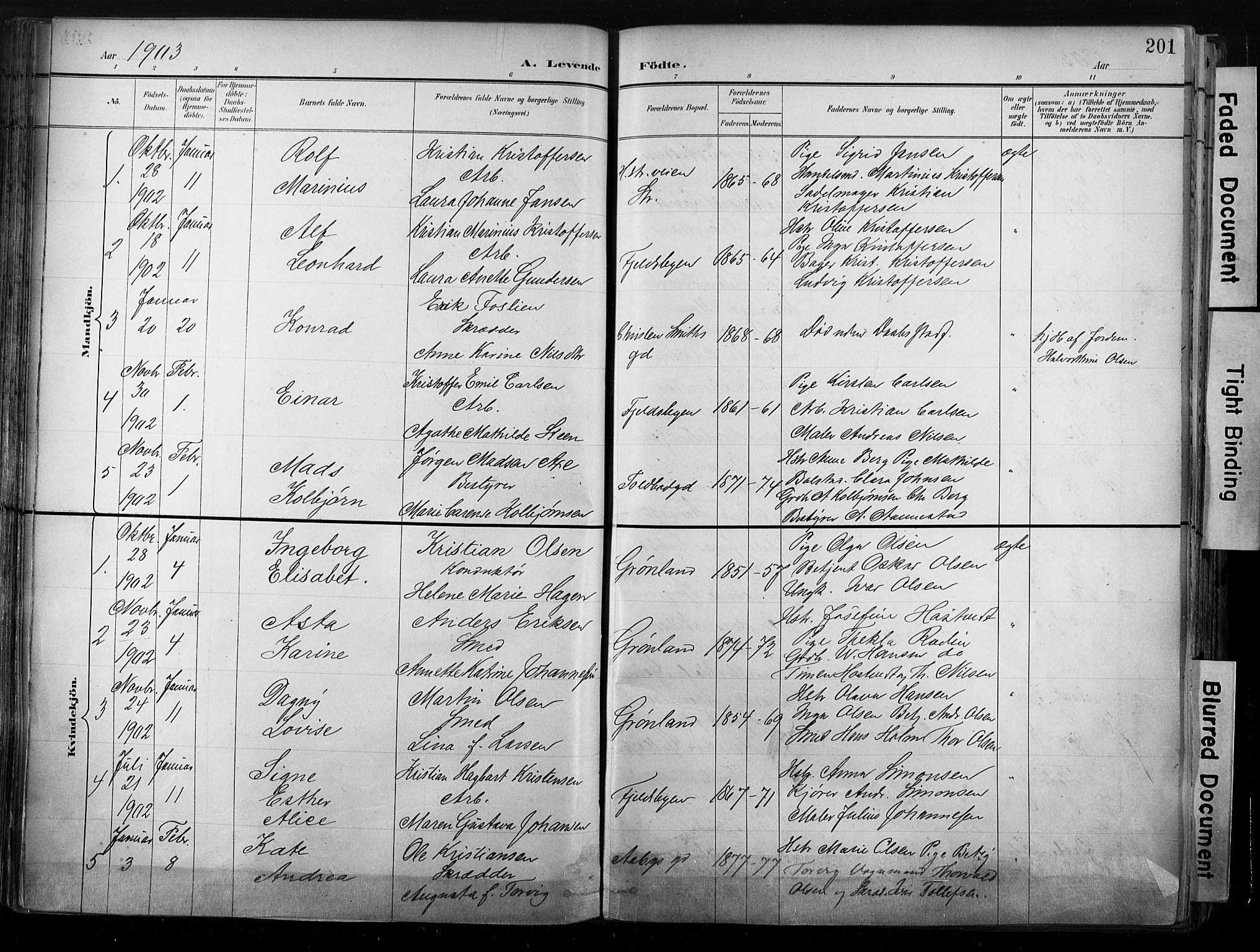Strømsø kirkebøker, AV/SAKO-A-246/G/Ga/L0003: Klokkerbok nr. 3, 1894-1904, s. 201