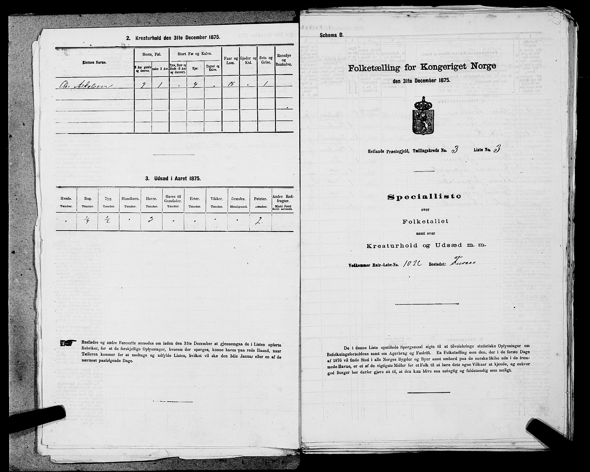 SAST, Folketelling 1875 for 1126P Hetland prestegjeld, 1875, s. 488