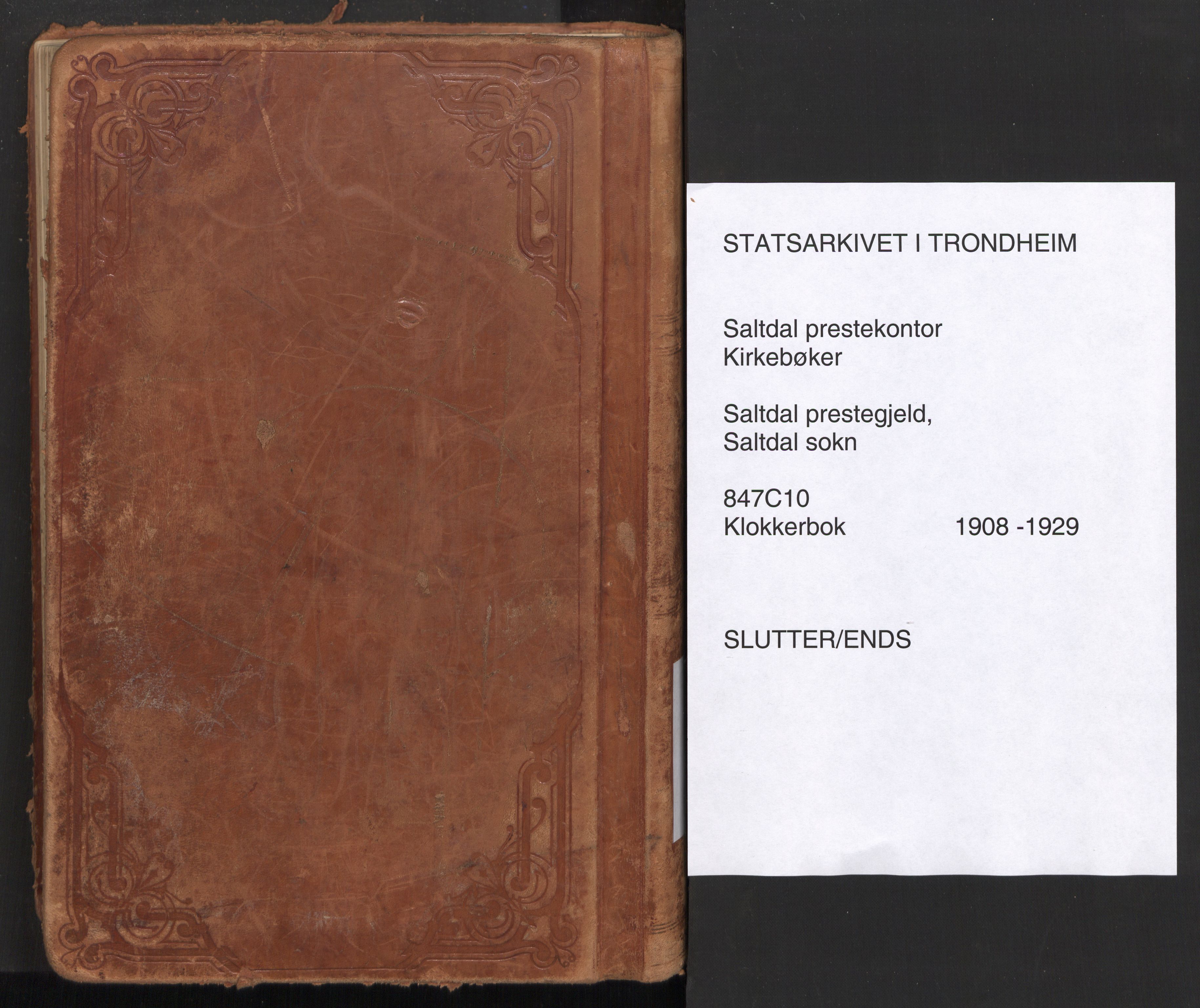 Ministerialprotokoller, klokkerbøker og fødselsregistre - Nordland, AV/SAT-A-1459/847/L0683: Klokkerbok nr. 847C11, 1908-1929