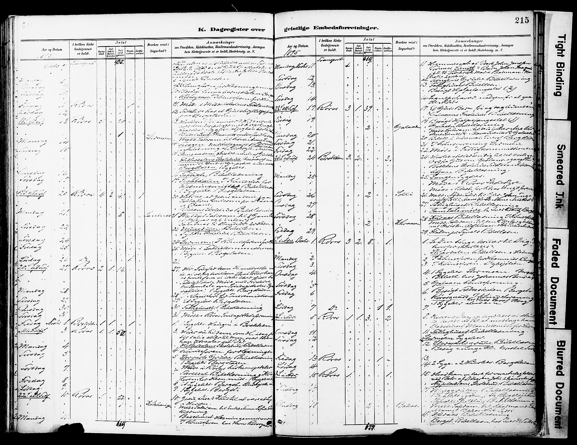 Ministerialprotokoller, klokkerbøker og fødselsregistre - Sør-Trøndelag, SAT/A-1456/681/L0935: Ministerialbok nr. 681A13, 1890-1898, s. 215
