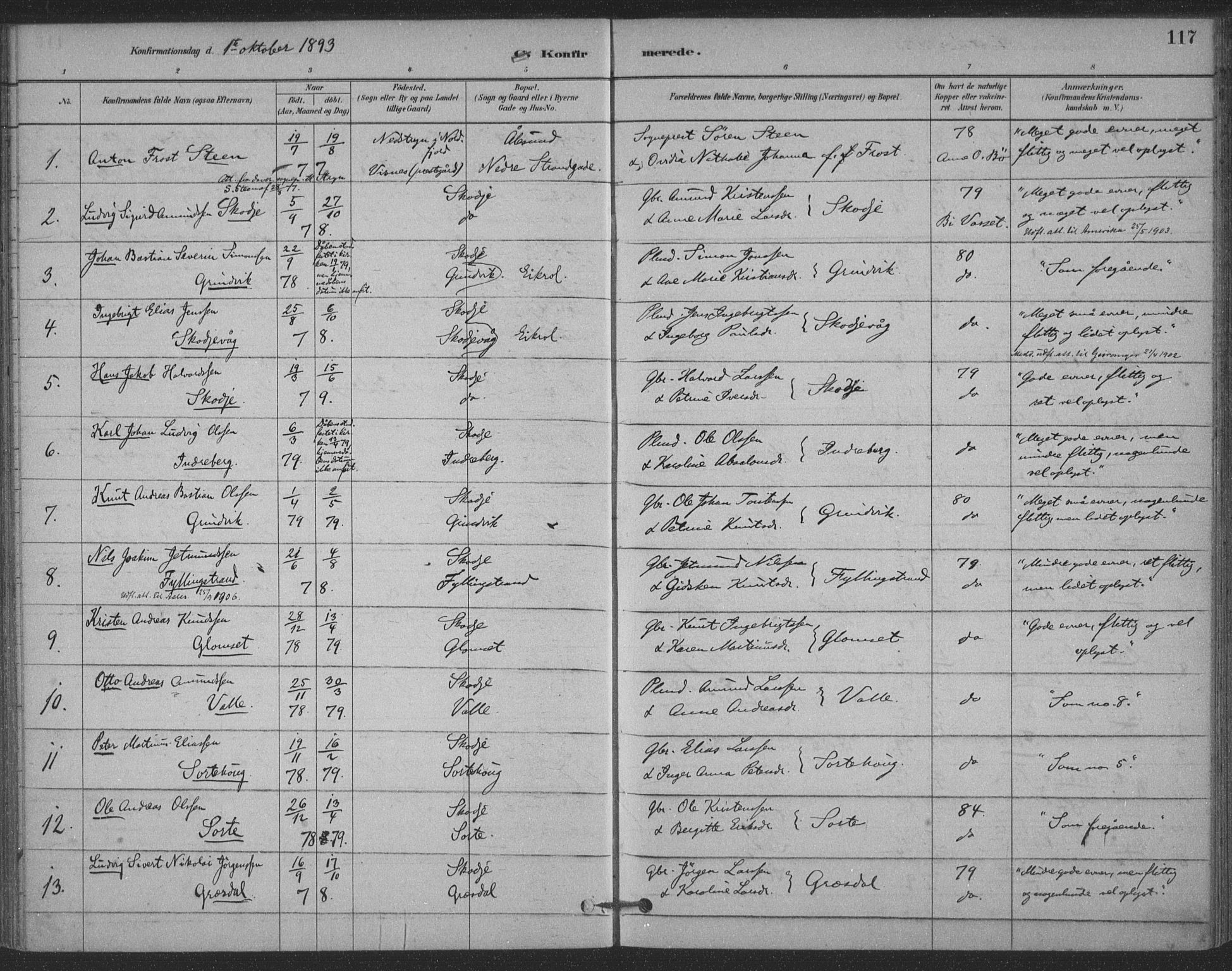 Ministerialprotokoller, klokkerbøker og fødselsregistre - Møre og Romsdal, SAT/A-1454/524/L0356: Ministerialbok nr. 524A08, 1880-1899, s. 117