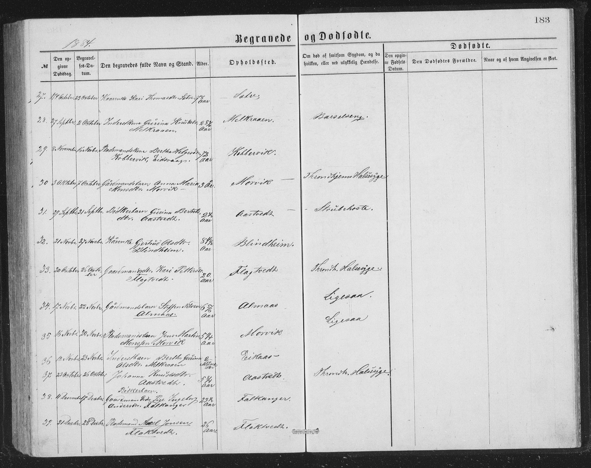 Åsane sokneprestembete, AV/SAB-A-79401/H/Hab: Klokkerbok nr. A 1, 1870-1884, s. 183