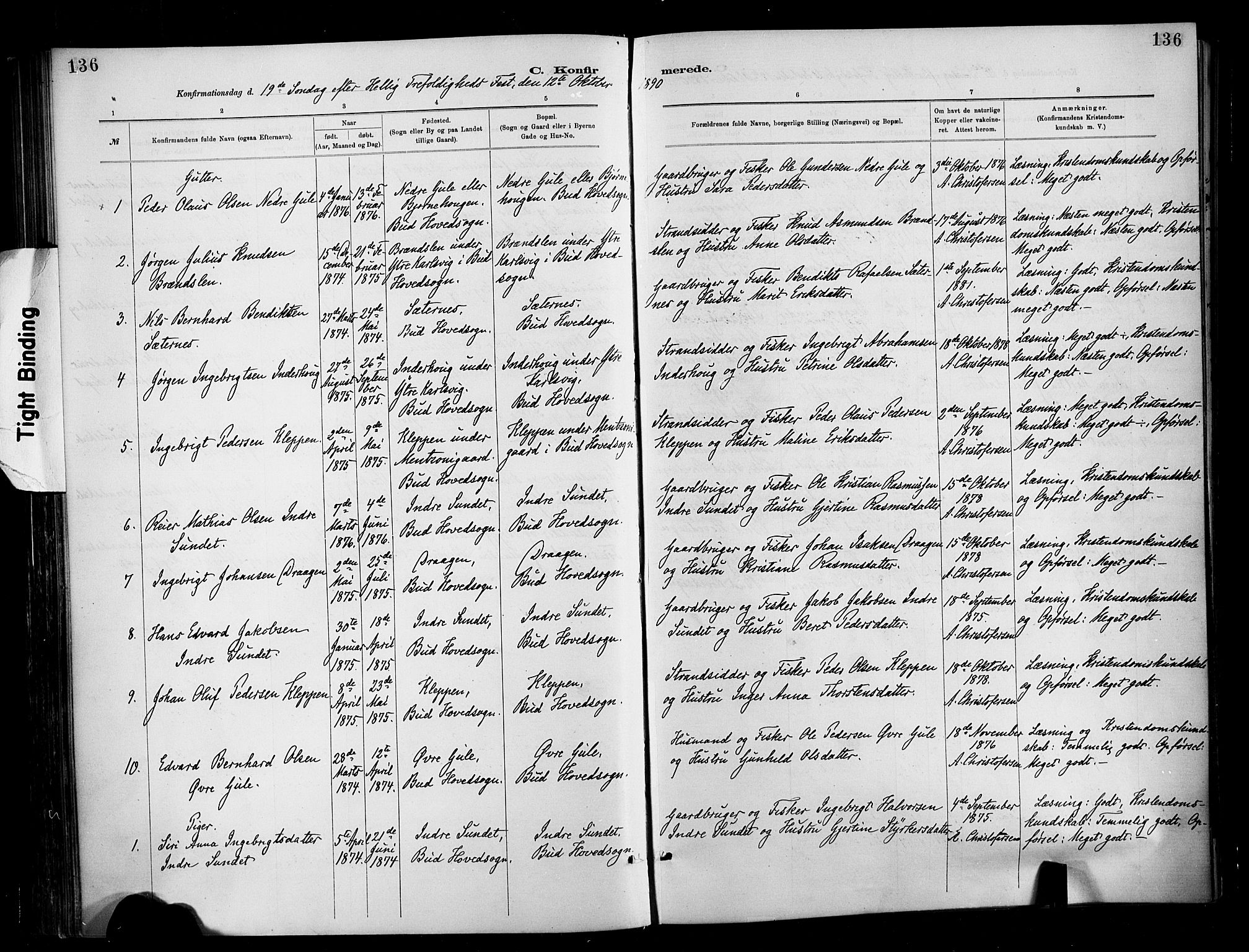 Ministerialprotokoller, klokkerbøker og fødselsregistre - Møre og Romsdal, AV/SAT-A-1454/566/L0769: Ministerialbok nr. 566A08, 1881-1903, s. 136