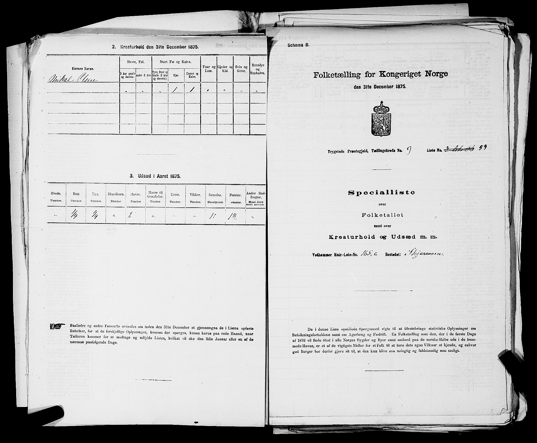 RA, Folketelling 1875 for 0122P Trøgstad prestegjeld, 1875, s. 969