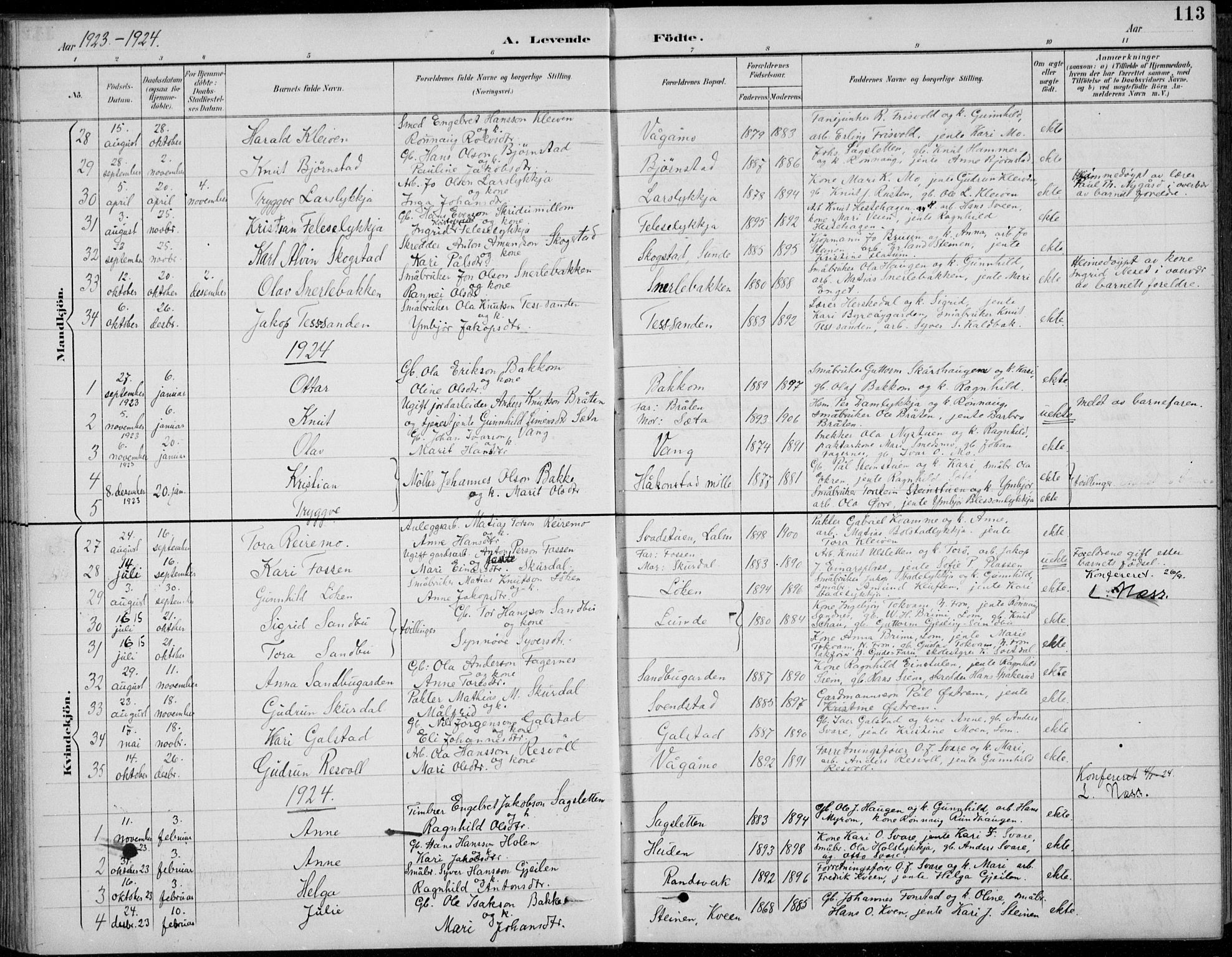 Vågå prestekontor, AV/SAH-PREST-076/H/Ha/Hab/L0002: Klokkerbok nr. 2, 1894-1939, s. 113