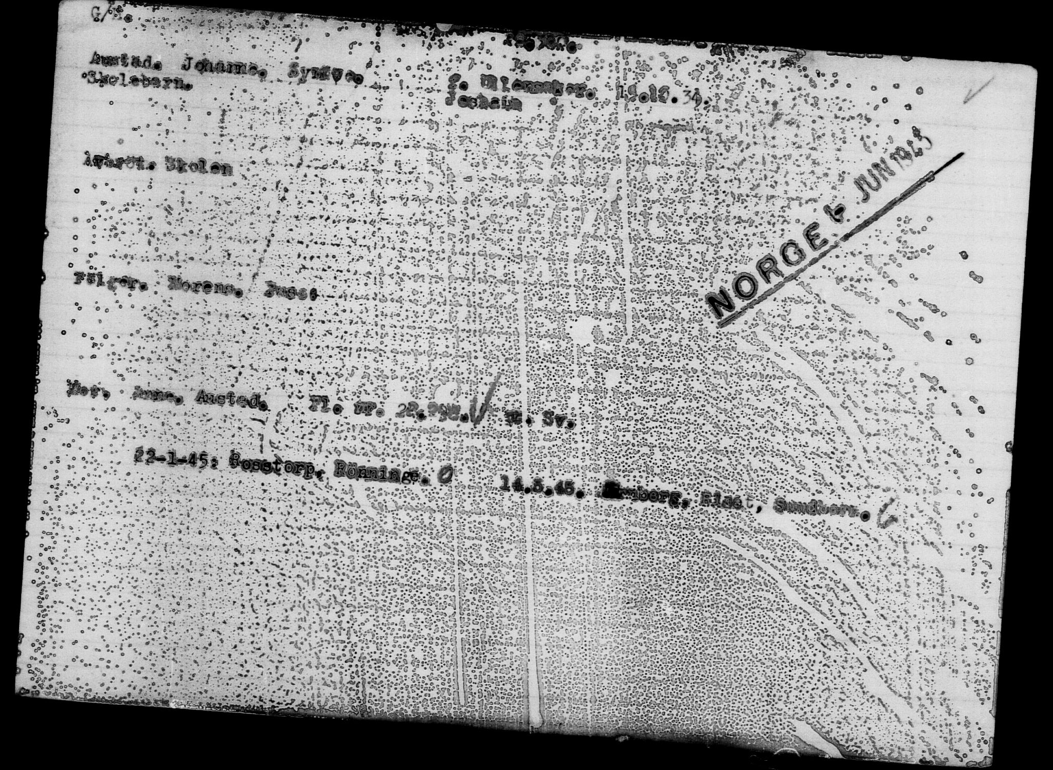 Den Kgl. Norske Legasjons Flyktningskontor, AV/RA-S-6753/V/Va/L0012: Kjesäterkartoteket.  Flyktningenr. 28300-31566, 1940-1945, s. 2