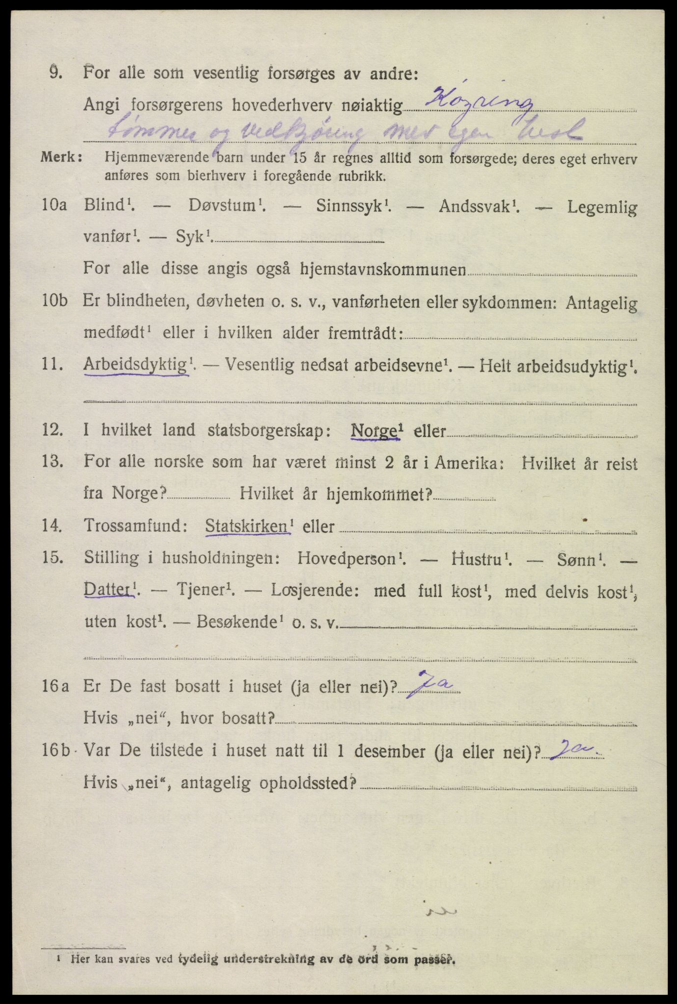 SAK, Folketelling 1920 for 0936 Hornnes herred, 1920, s. 1344