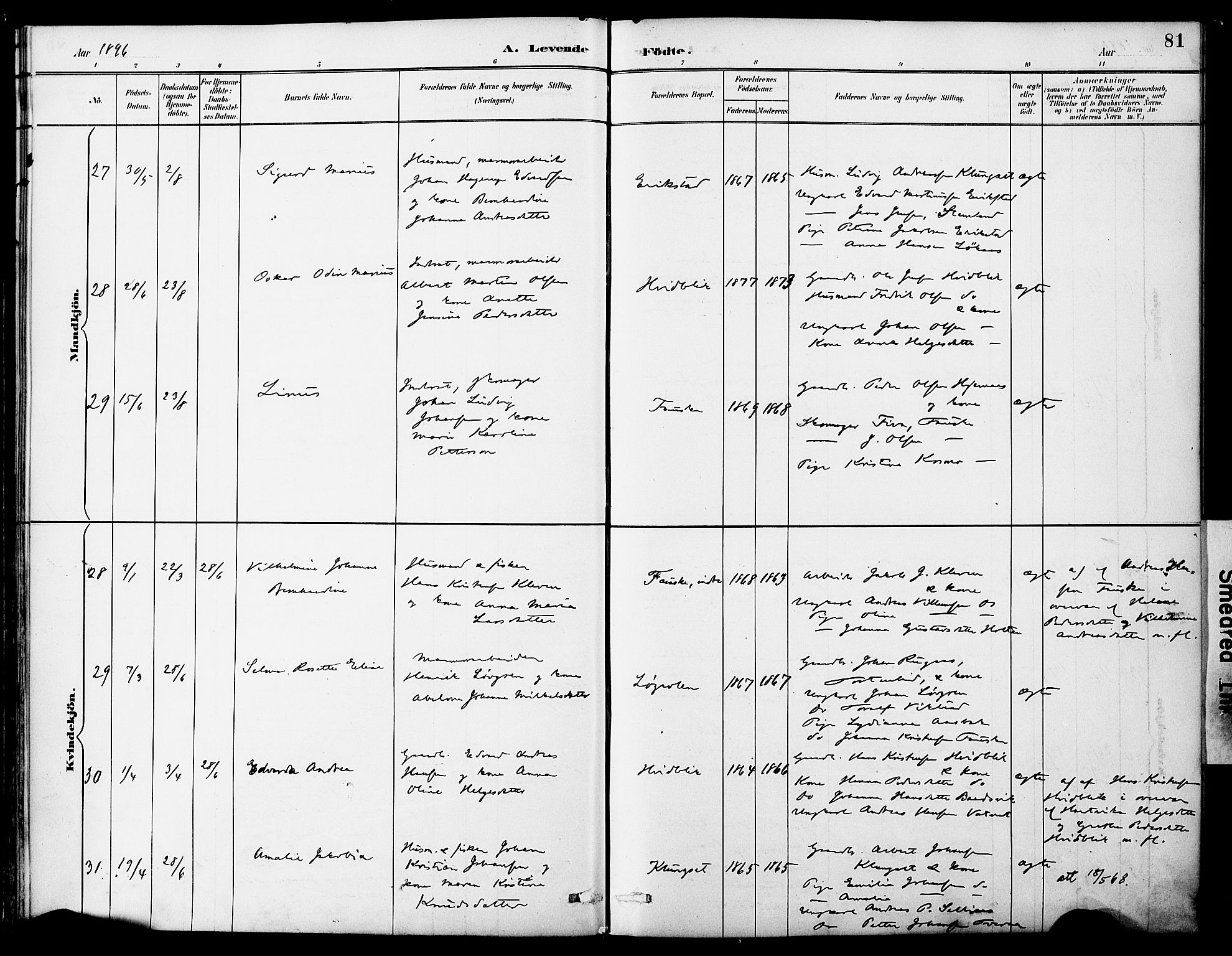 Ministerialprotokoller, klokkerbøker og fødselsregistre - Nordland, AV/SAT-A-1459/849/L0690: Ministerialbok nr. 849A02, 1890-1897, s. 81
