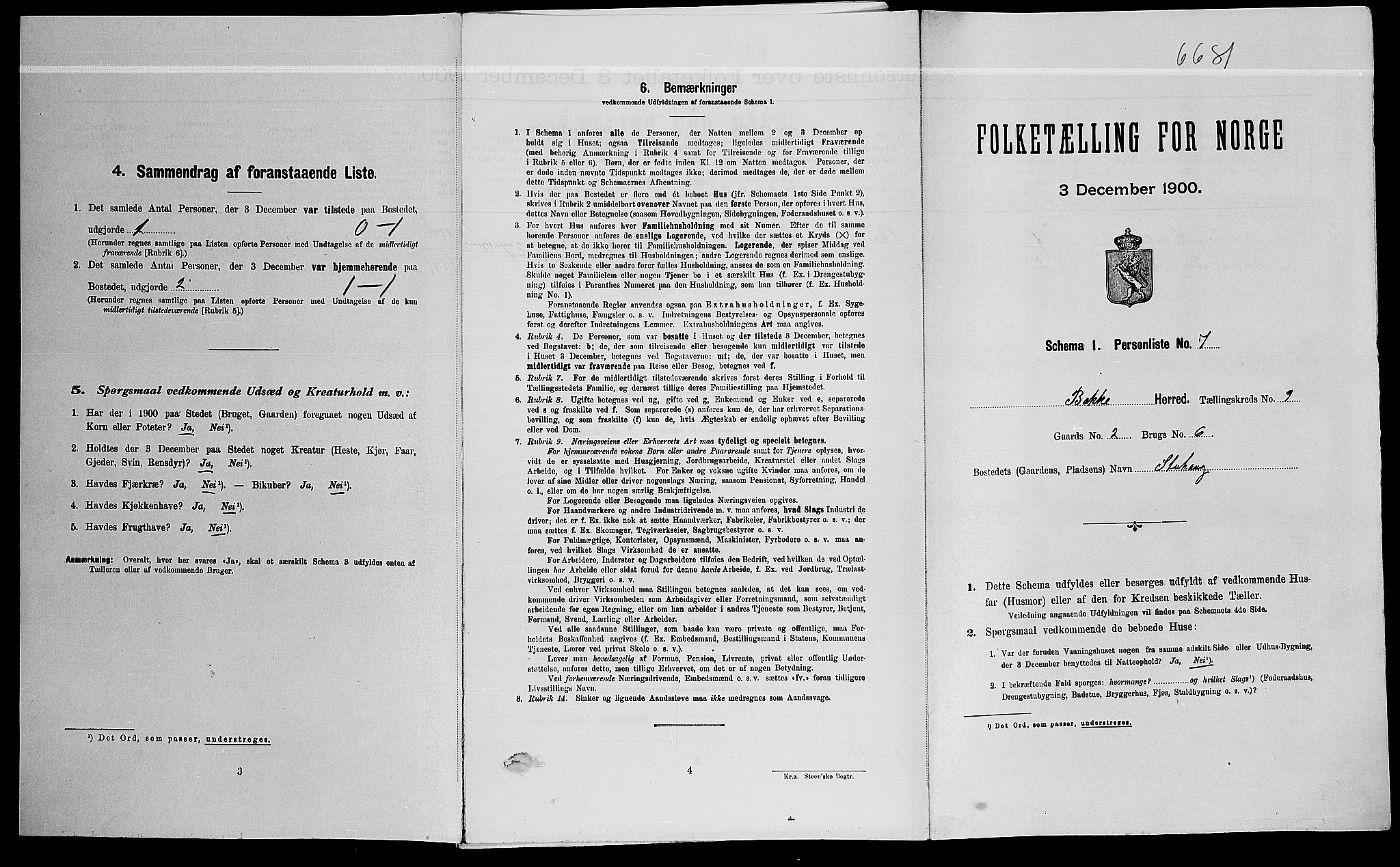 SAK, Folketelling 1900 for 1045 Bakke herred, 1900, s. 493