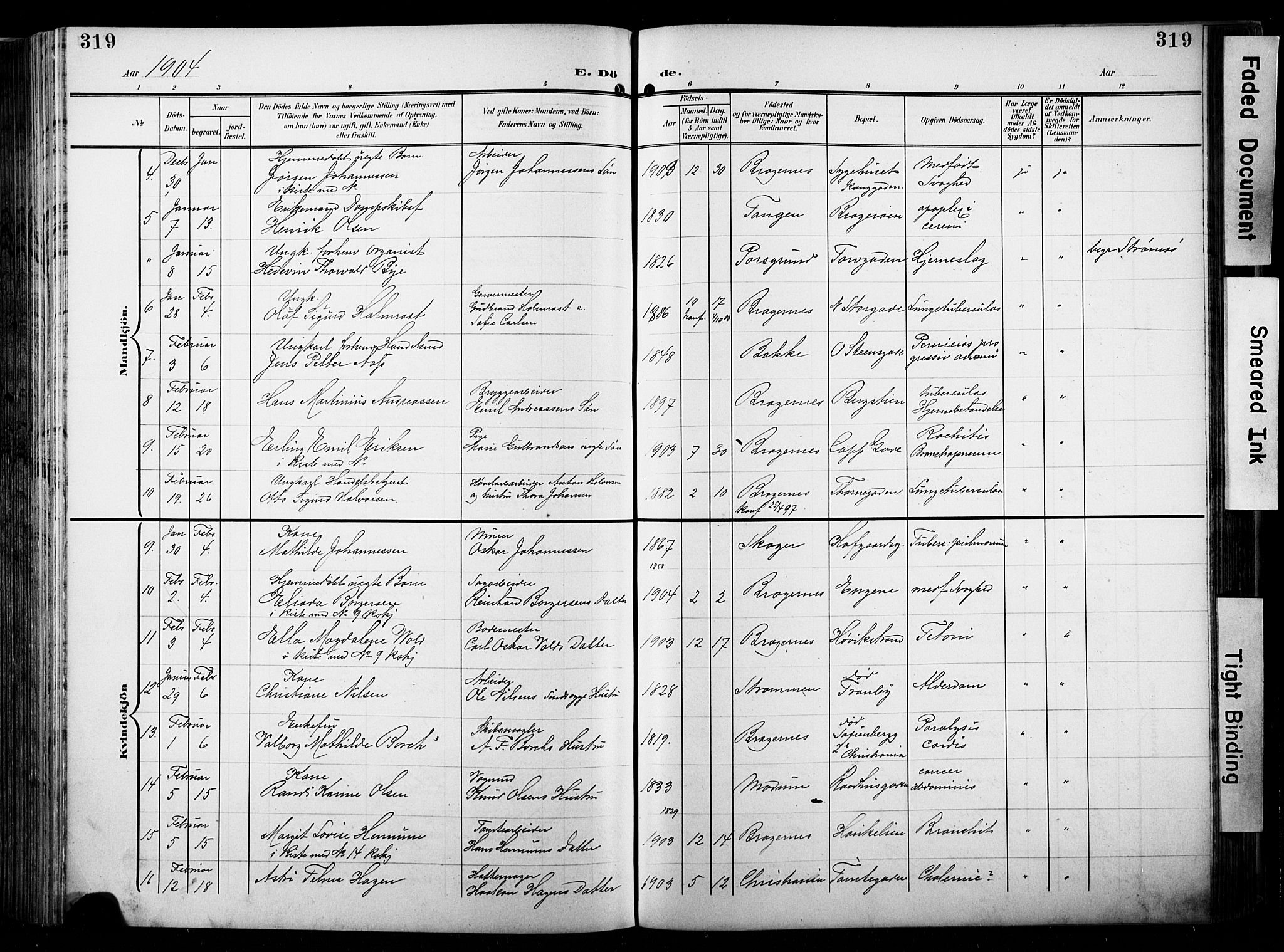 Bragernes kirkebøker, AV/SAKO-A-6/F/Fb/L0009: Ministerialbok nr. II 9, 1902-1911, s. 319