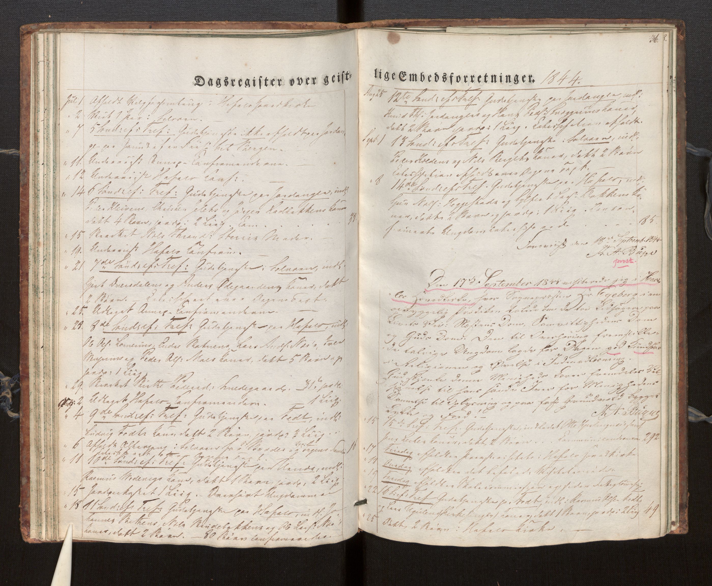 Hafslo sokneprestembete, SAB/A-80301/H/Haa/Haaf/L0001: Dagregister nr. F 1, 1834-1854, s. 36