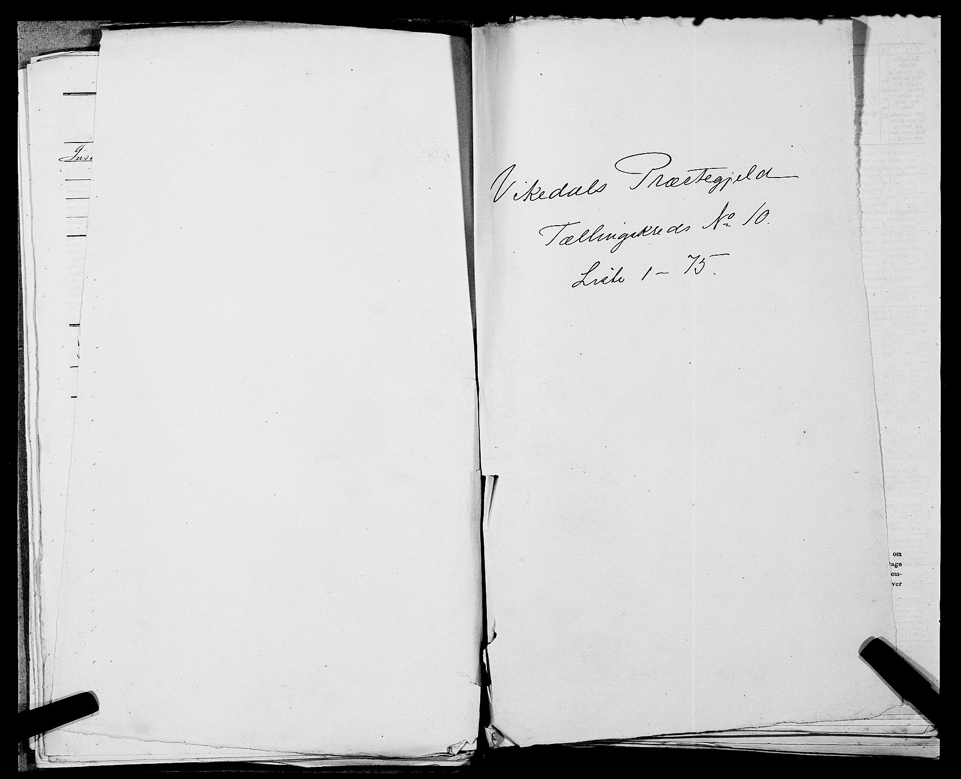 SAST, Folketelling 1875 for 1157P Vikedal prestegjeld, 1875, s. 1055