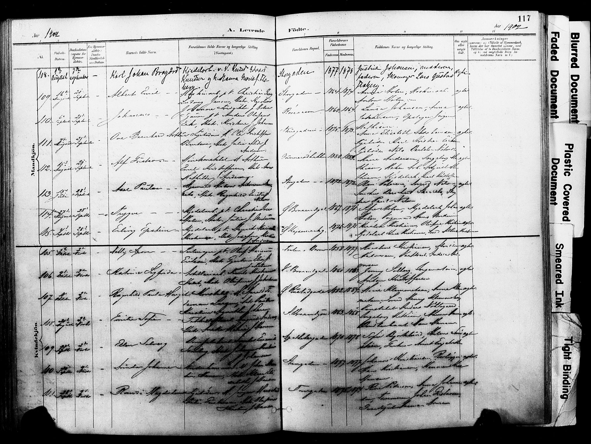 Horten kirkebøker, AV/SAKO-A-348/F/Fa/L0005: Ministerialbok nr. 5, 1896-1904, s. 117