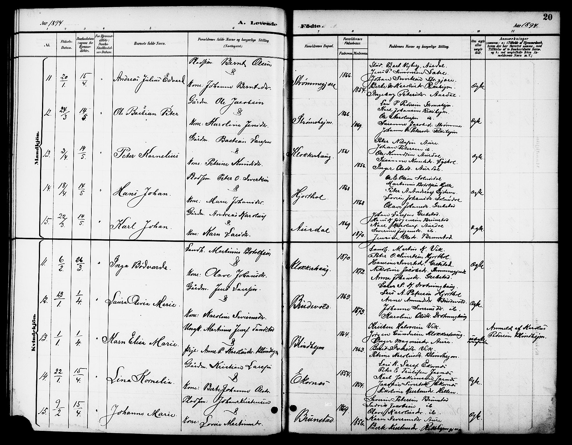 Ministerialprotokoller, klokkerbøker og fødselsregistre - Møre og Romsdal, AV/SAT-A-1454/523/L0340: Klokkerbok nr. 523C03, 1892-1902, s. 20