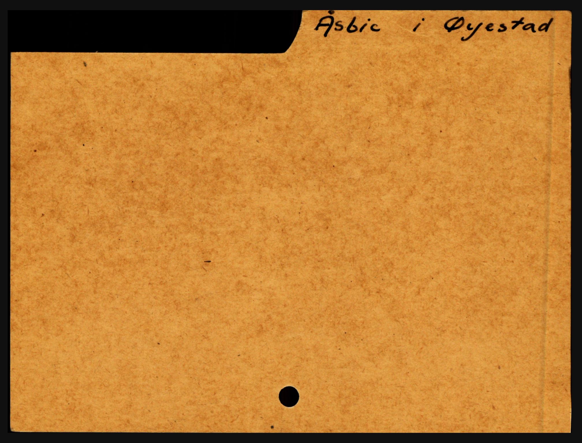 Nedenes sorenskriveri før 1824, SAK/1221-0007/H, s. 35265