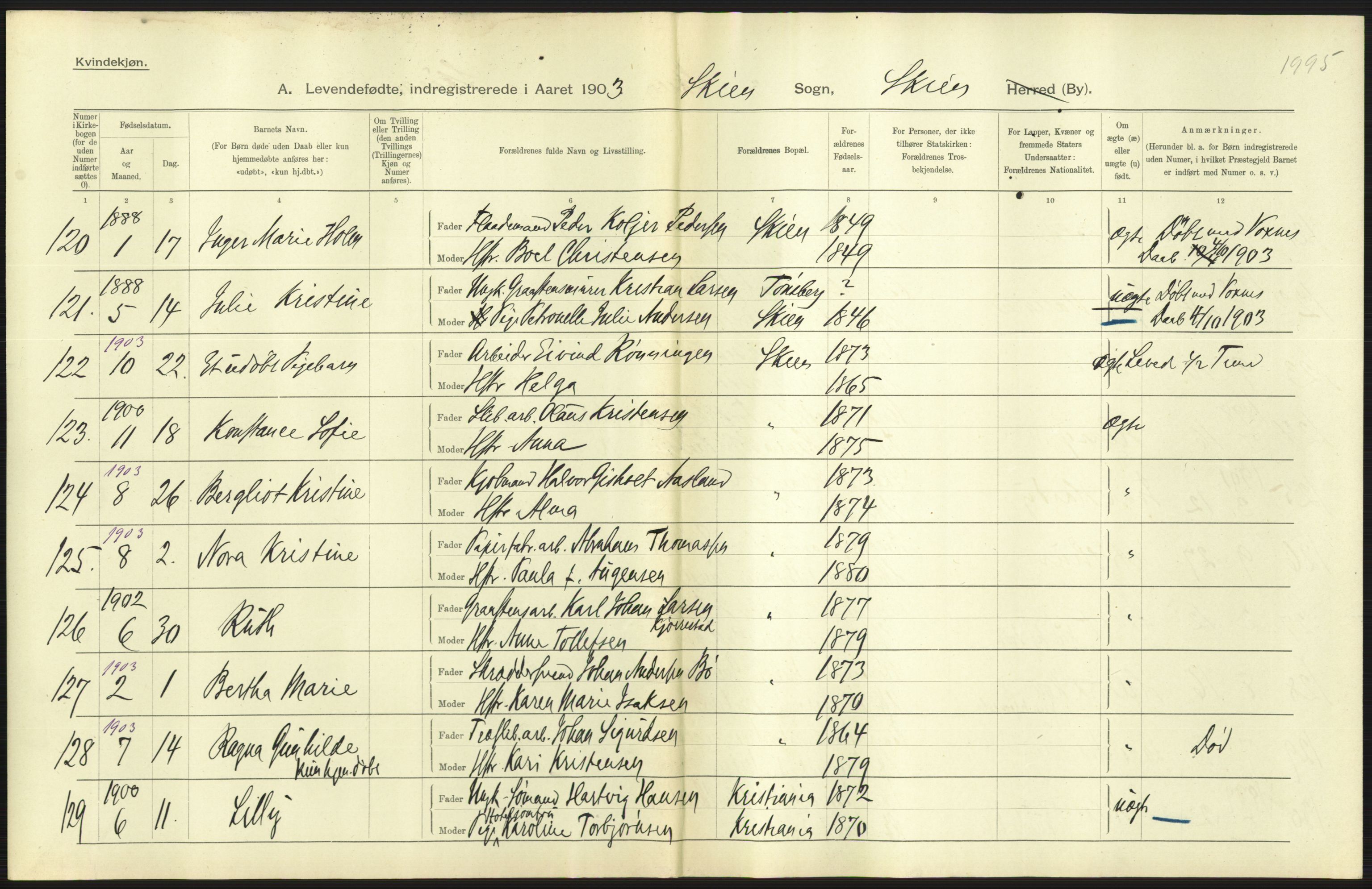 Statistisk sentralbyrå, Sosiodemografiske emner, Befolkning, AV/RA-S-2228/D/Df/Dfa/Dfaa/L0009: Bratsberg amt: Fødte, gifte, døde, 1903, s. 287