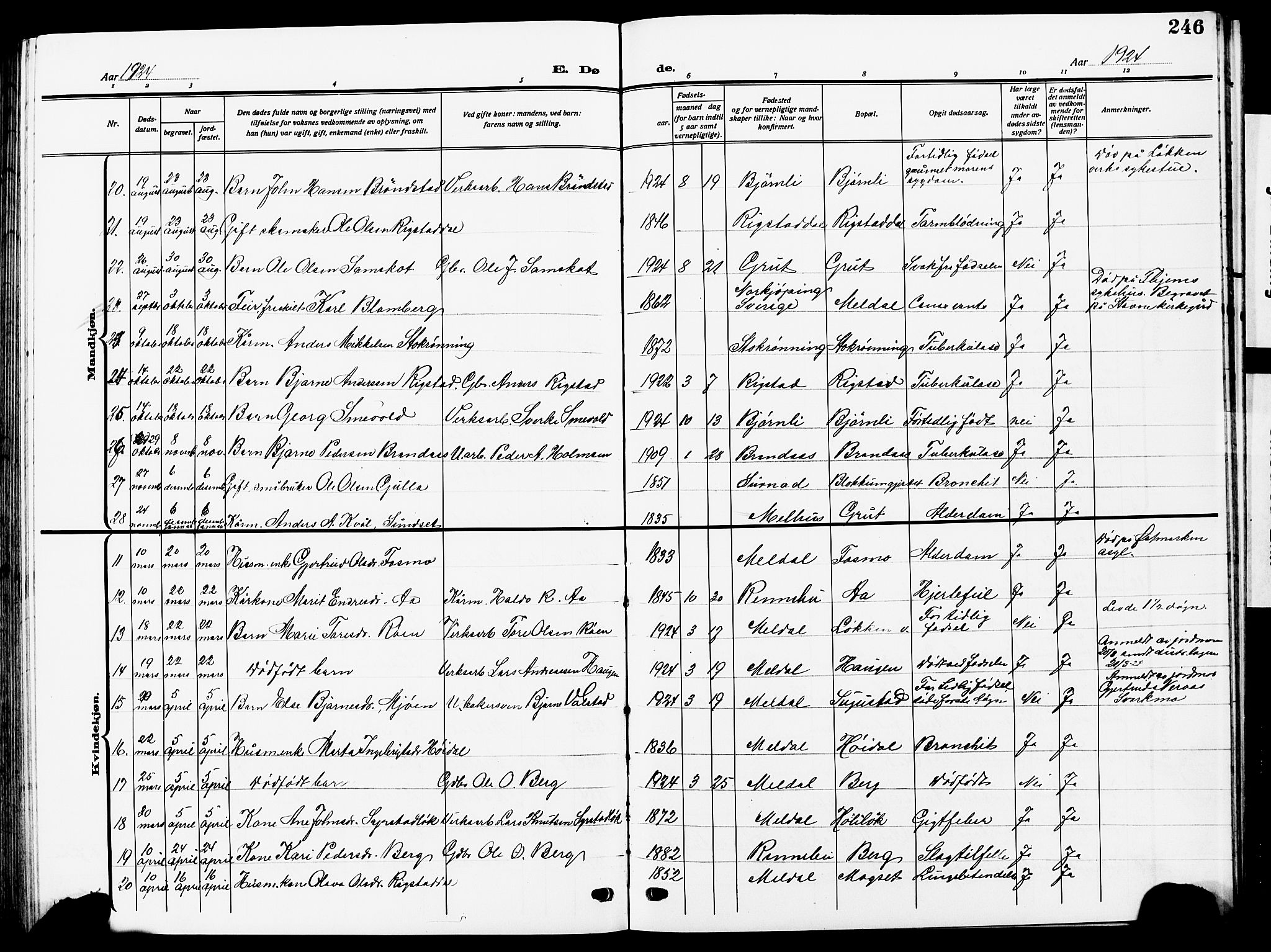 Ministerialprotokoller, klokkerbøker og fødselsregistre - Sør-Trøndelag, AV/SAT-A-1456/672/L0865: Klokkerbok nr. 672C04, 1914-1928, s. 246