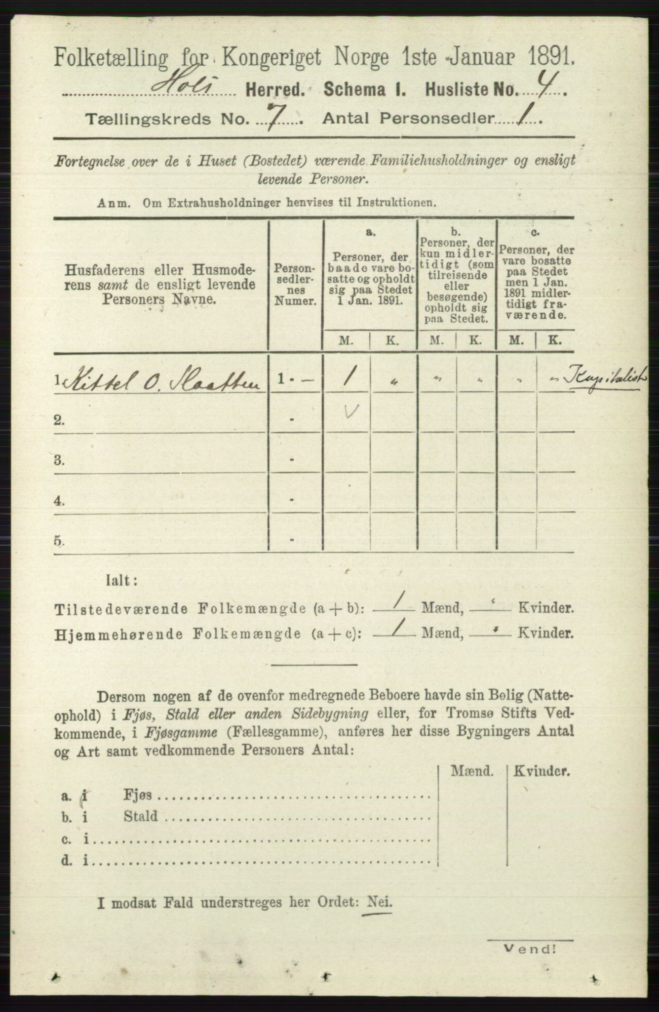 RA, Folketelling 1891 for 0620 Hol herred, 1891, s. 1979