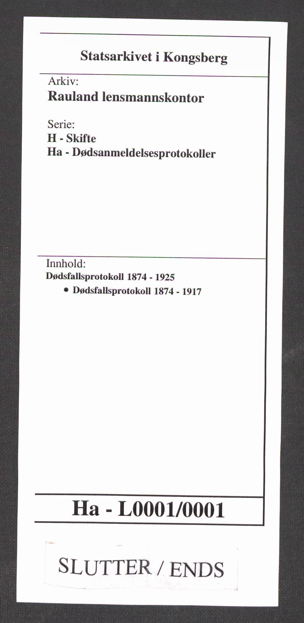 Rauland lensmannskontor, AV/SAKO-A-568/H/Ha/L0001/0001: Dødsfallsprotokoll / Dødsfallsprotokoll, 1874-1917