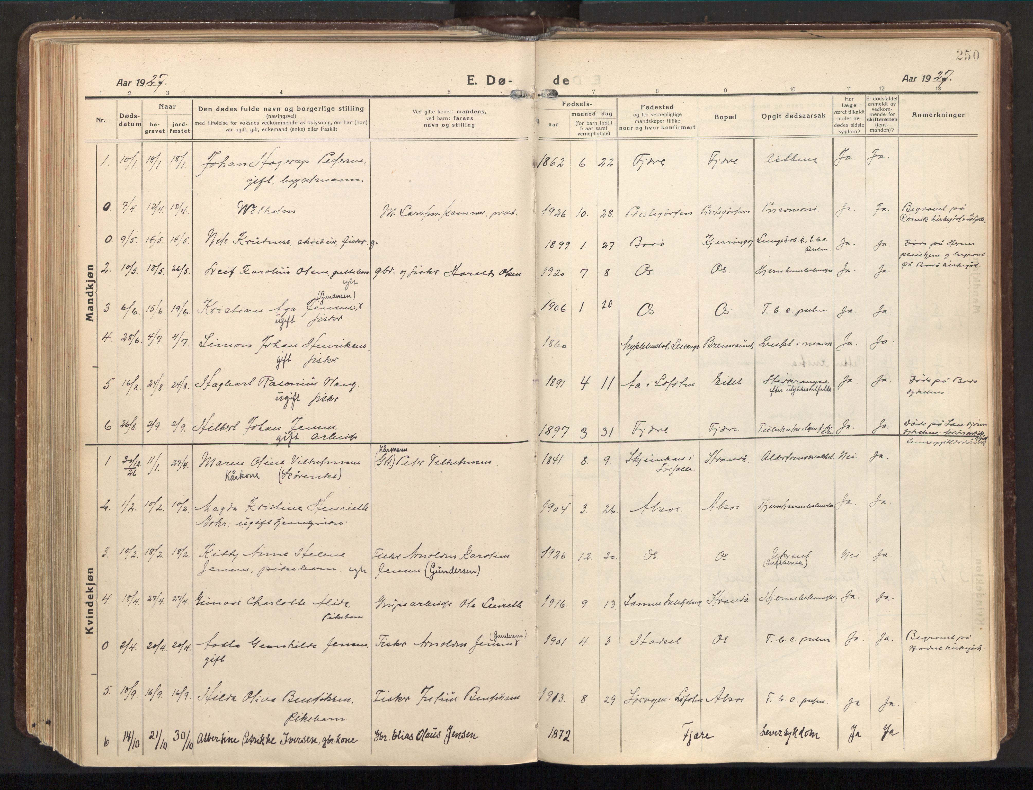 Ministerialprotokoller, klokkerbøker og fødselsregistre - Nordland, AV/SAT-A-1459/803/L0073: Ministerialbok nr. 803A03, 1920-1955, s. 250