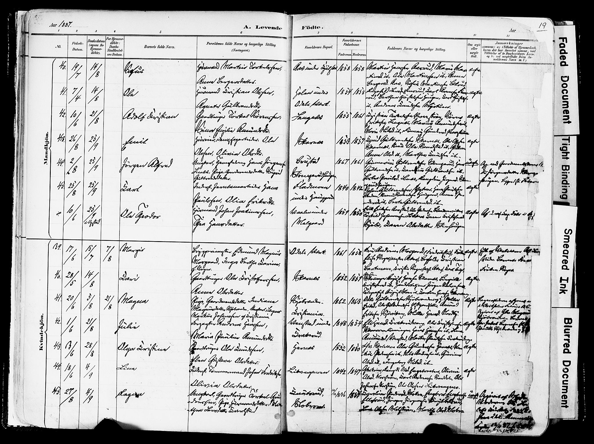 Sør-Odal prestekontor, AV/SAH-PREST-030/H/Ha/Haa/L0006: Ministerialbok nr. 6, 1886-1931, s. 19