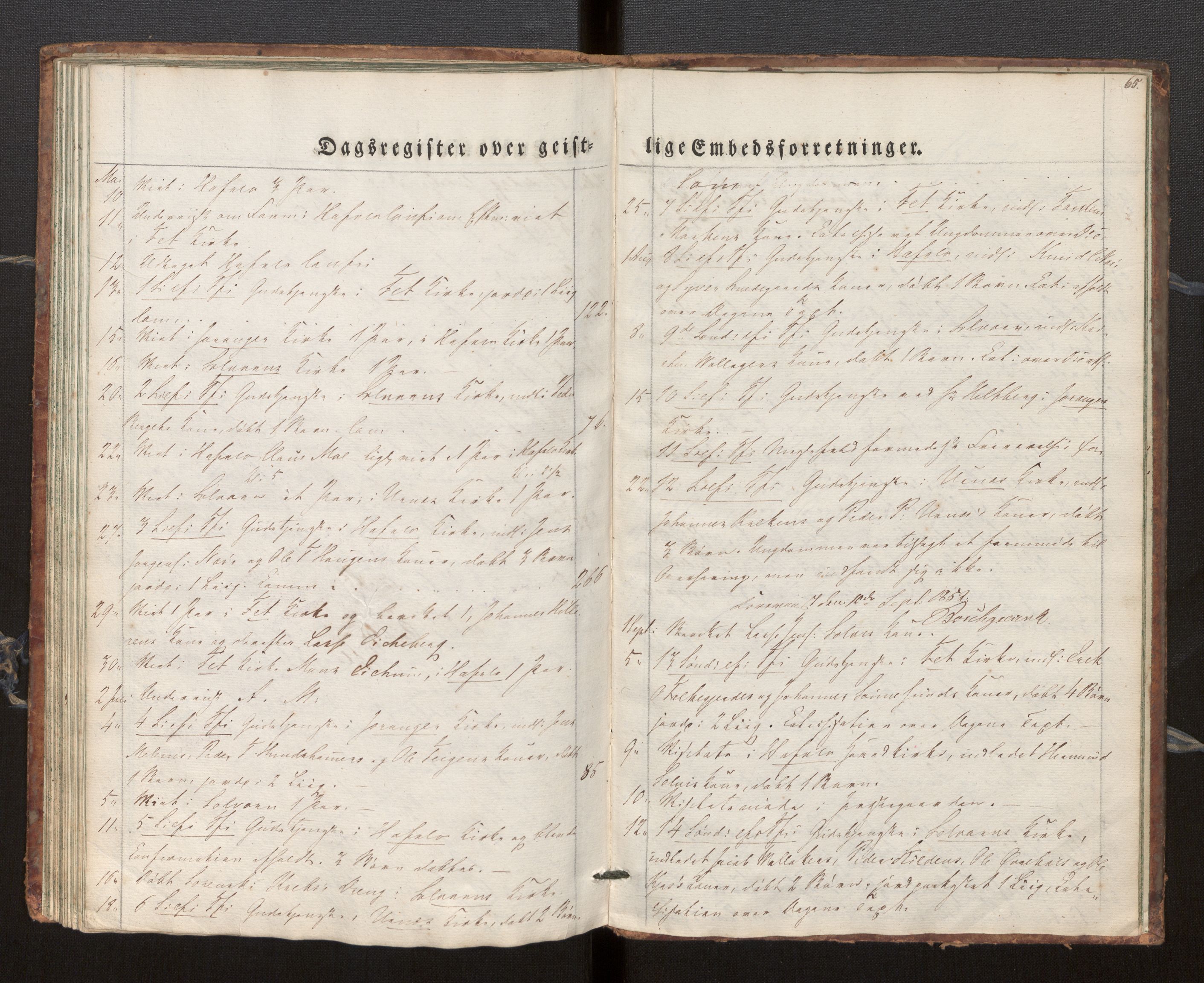 Hafslo sokneprestembete, SAB/A-80301/H/Haa/Haaf/L0001: Dagregister nr. F 1, 1834-1854, s. 65