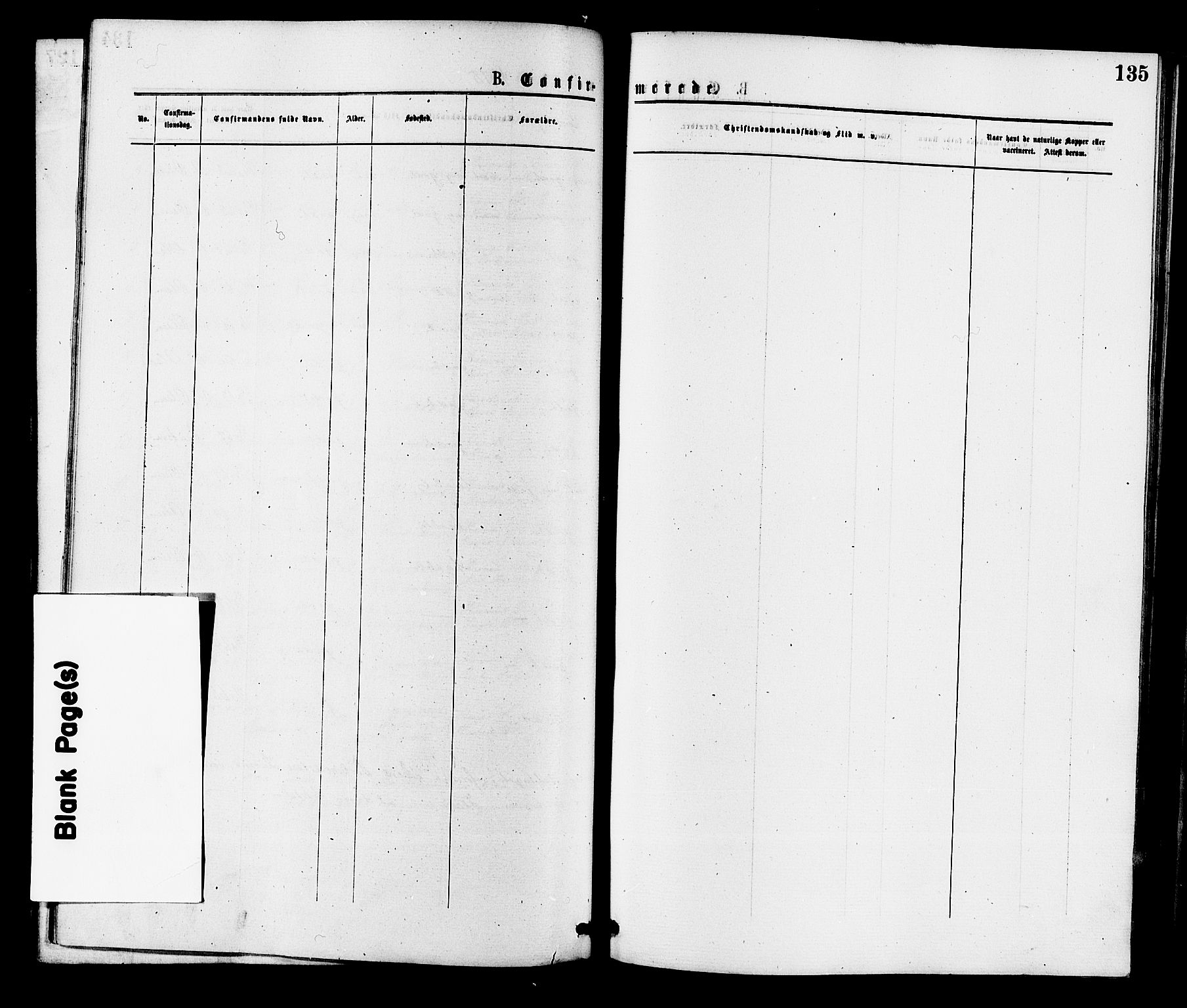 Krødsherad kirkebøker, SAKO/A-19/F/Fa/L0004: Ministerialbok nr. 4, 1873-1878, s. 135