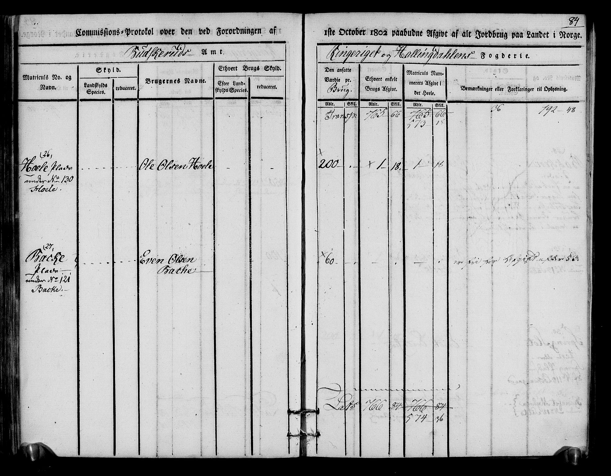 Rentekammeret inntil 1814, Realistisk ordnet avdeling, AV/RA-EA-4070/N/Ne/Nea/L0048: Ringerike og Hallingdal fogderi. Kommisjonsprotokoll for Ål prestegjeld, 1803, s. 88