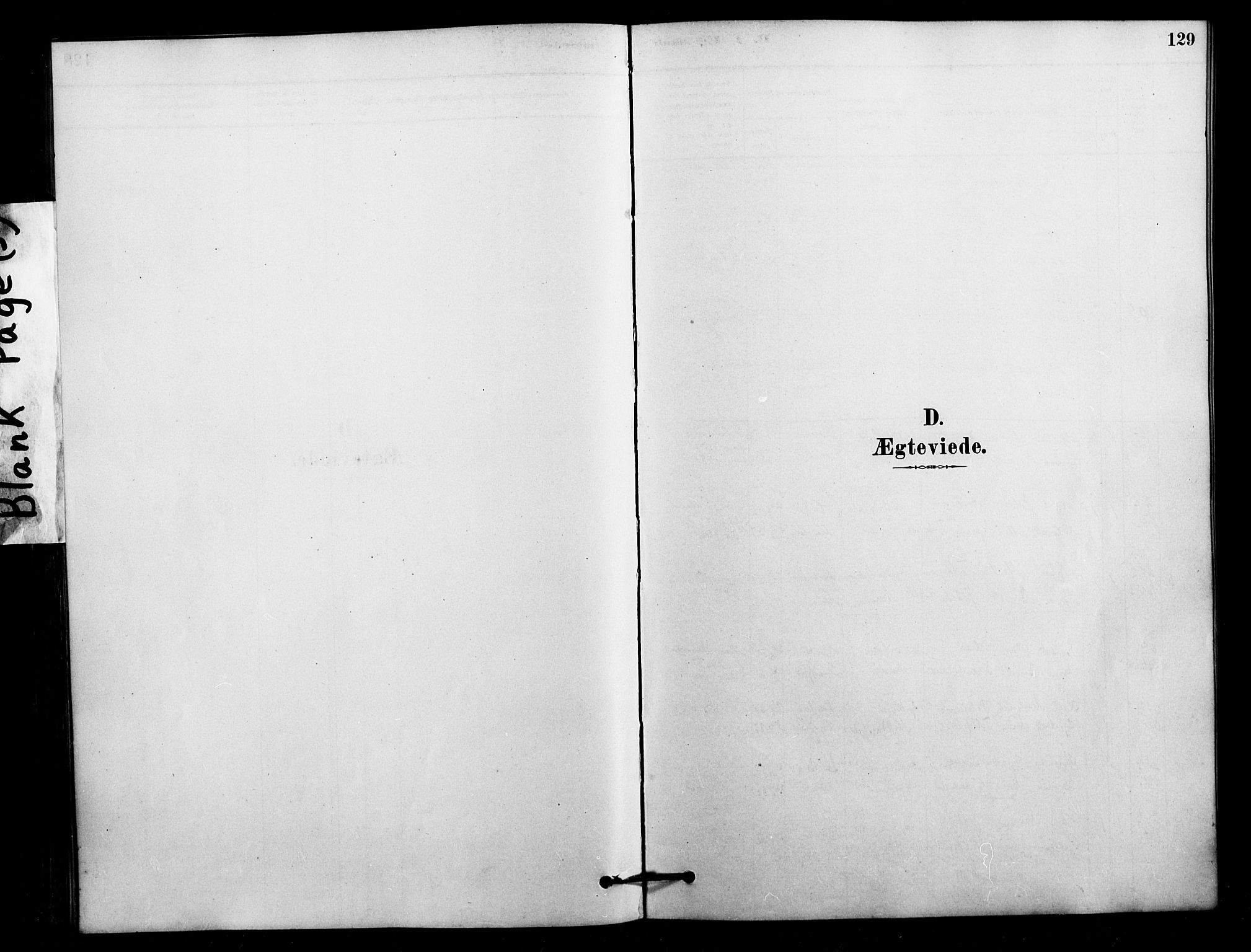 Ministerialprotokoller, klokkerbøker og fødselsregistre - Nordland, AV/SAT-A-1459/897/L1399: Ministerialbok nr. 897C06, 1881-1896, s. 129