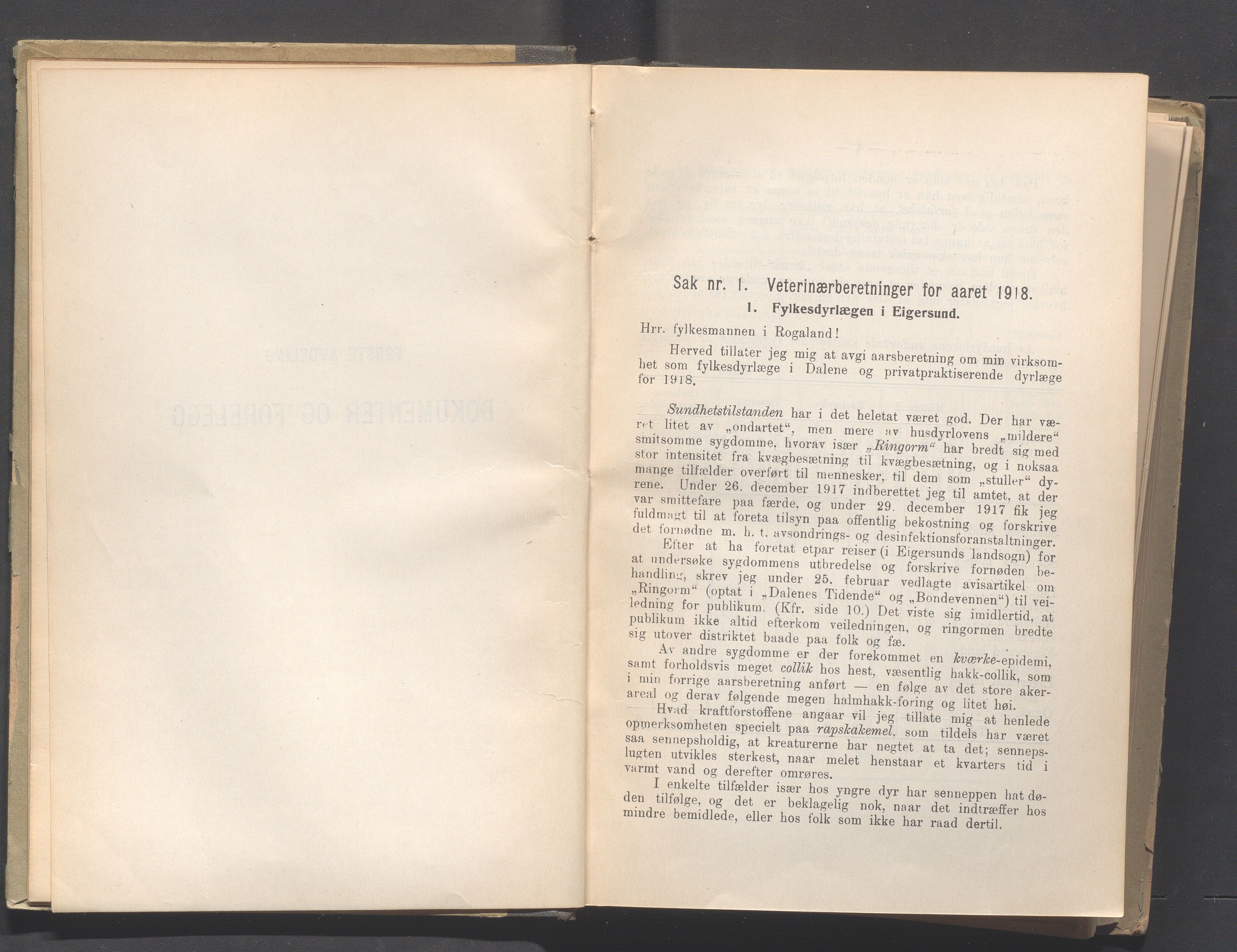 Rogaland fylkeskommune - Fylkesrådmannen , IKAR/A-900/A, 1920, s. 11