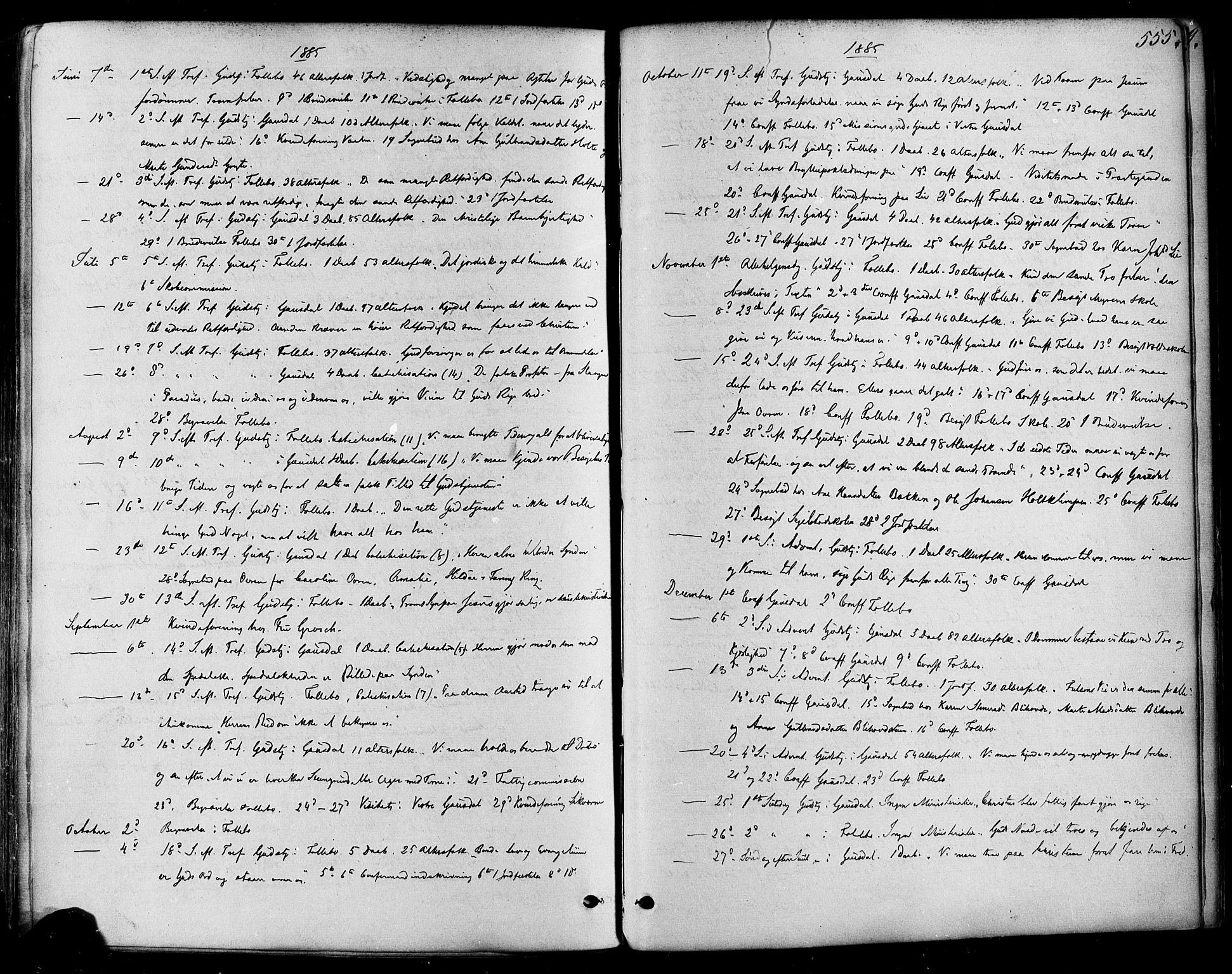 Østre Gausdal prestekontor, AV/SAH-PREST-092/H/Ha/Haa/L0001: Ministerialbok nr. 1, 1874-1886, s. 555