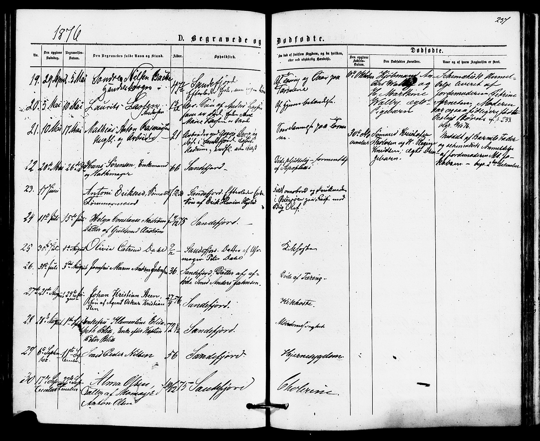 Sandefjord kirkebøker, AV/SAKO-A-315/F/Fa/L0001: Ministerialbok nr. 1, 1873-1879, s. 237