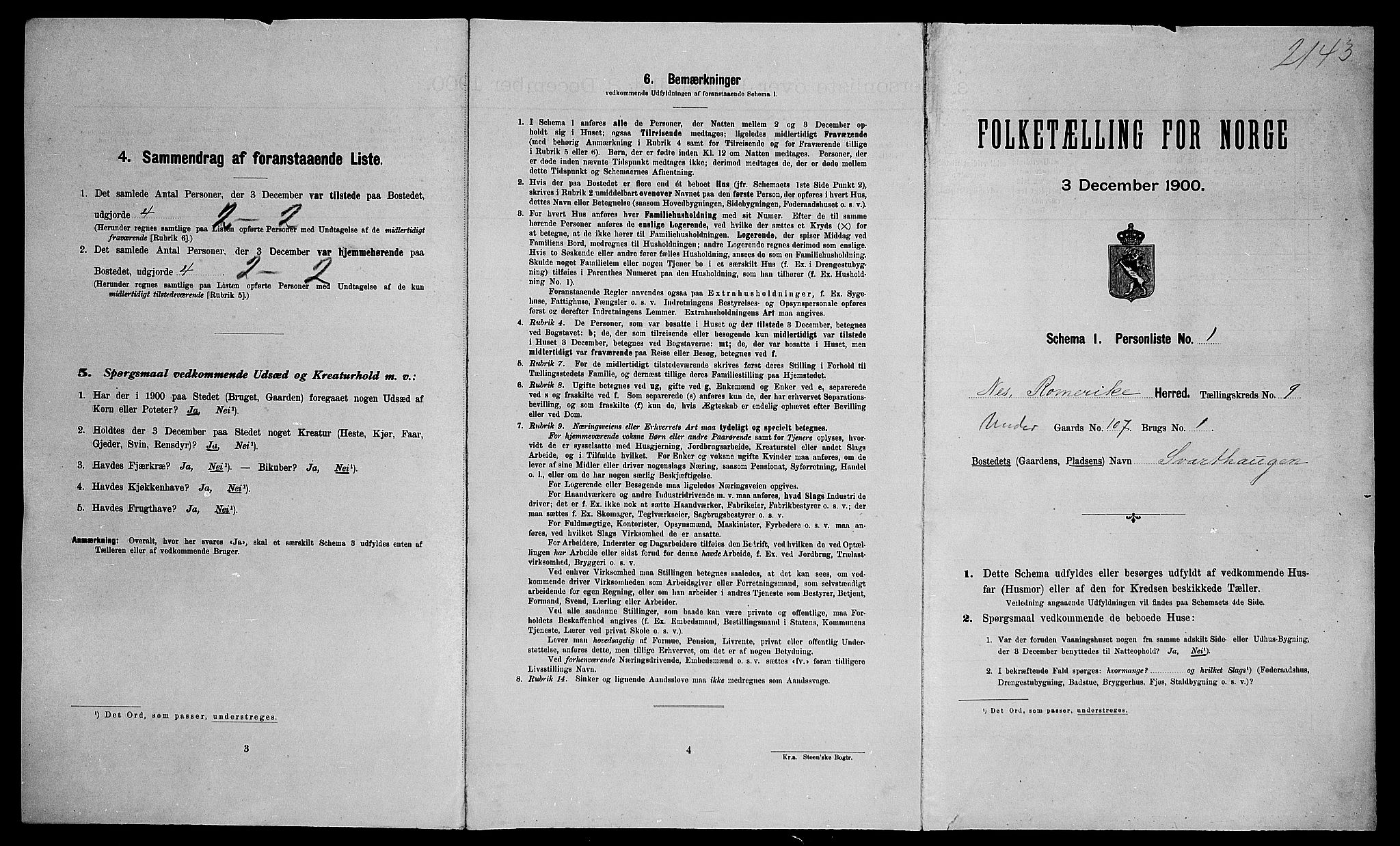 SAO, Folketelling 1900 for 0236 Nes herred, 1900, s. 54