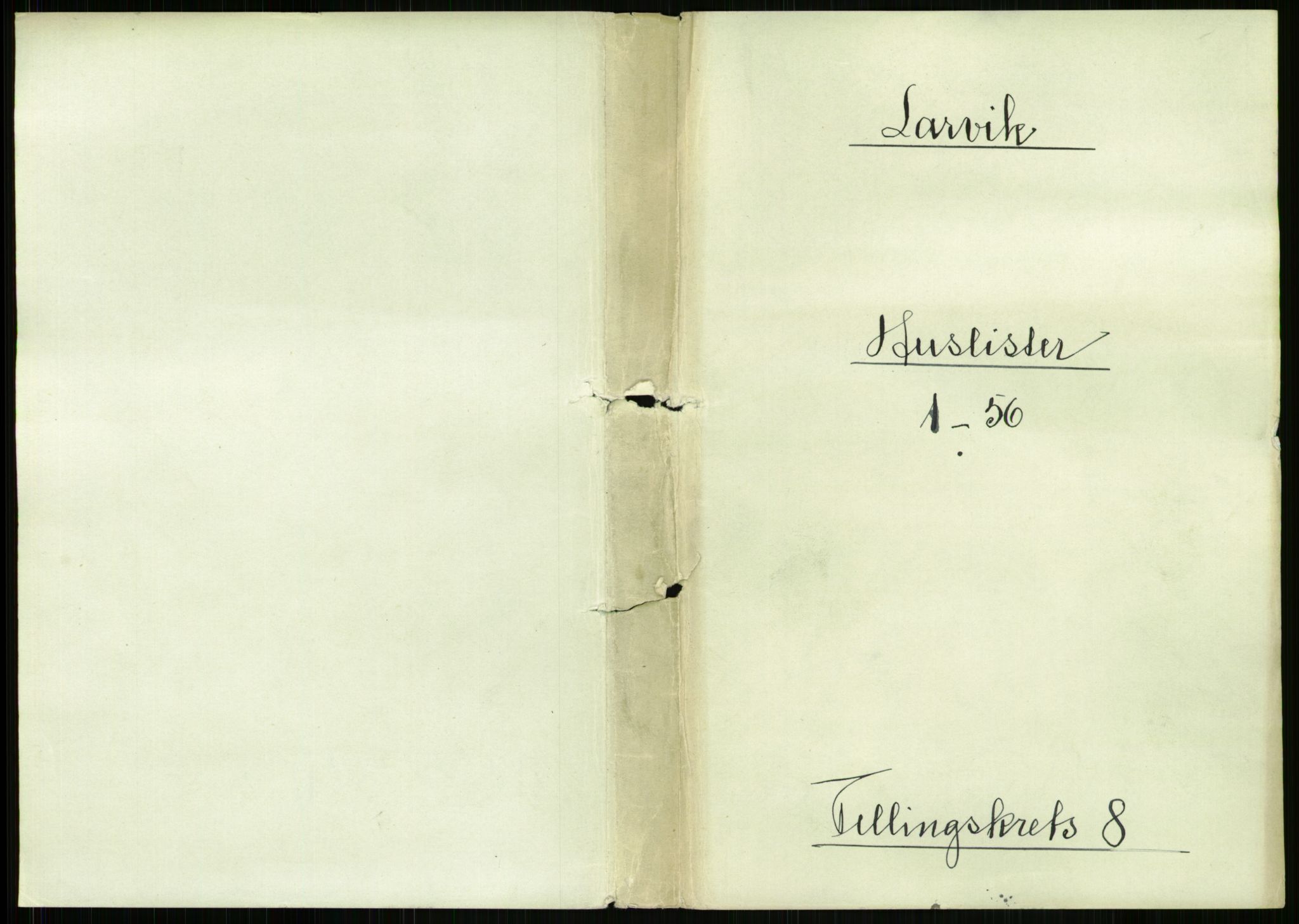 RA, Folketelling 1891 for 0707 Larvik kjøpstad, 1891, s. 1005