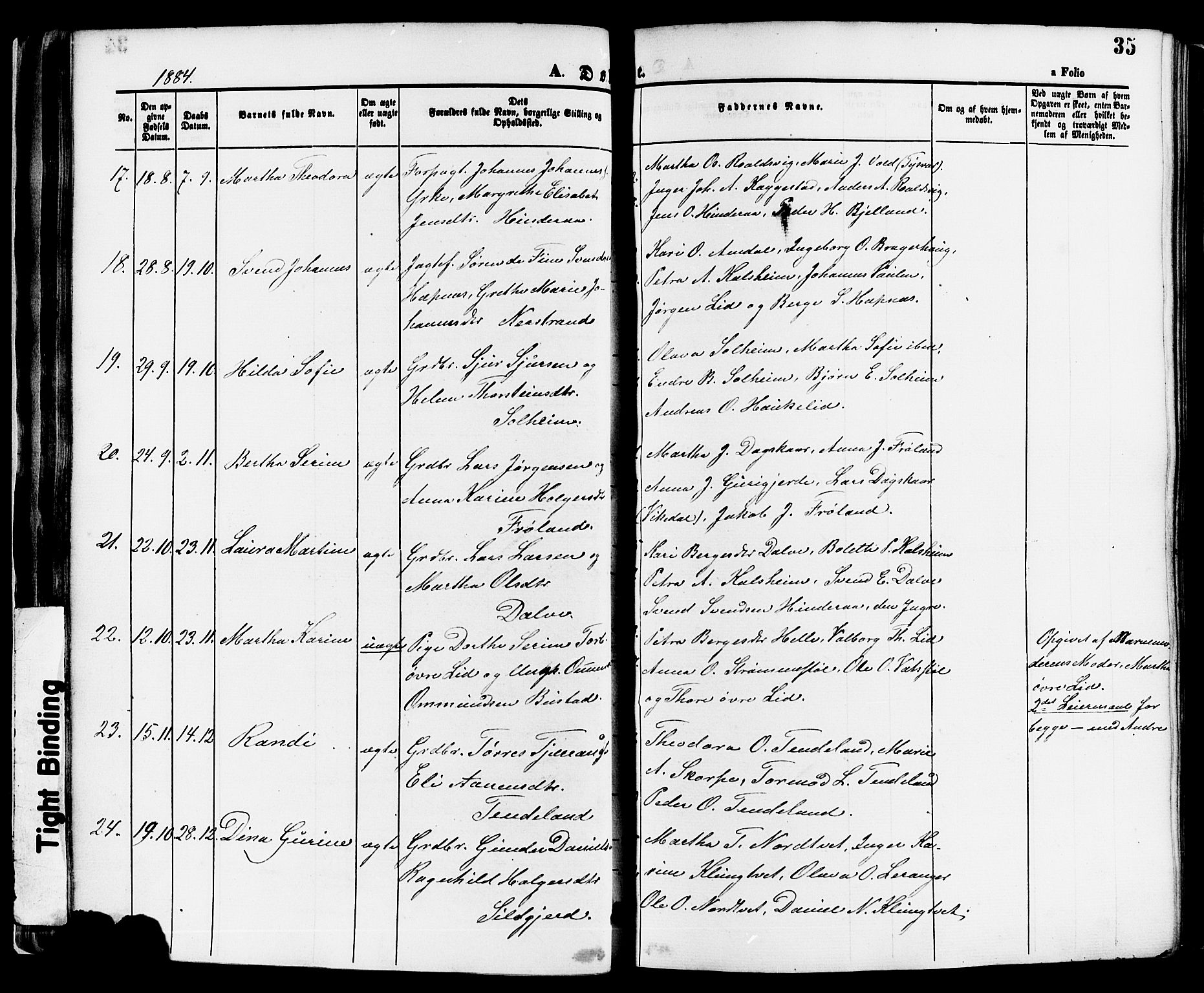 Nedstrand sokneprestkontor, SAST/A-101841/01/IV: Ministerialbok nr. A 11, 1877-1887, s. 35