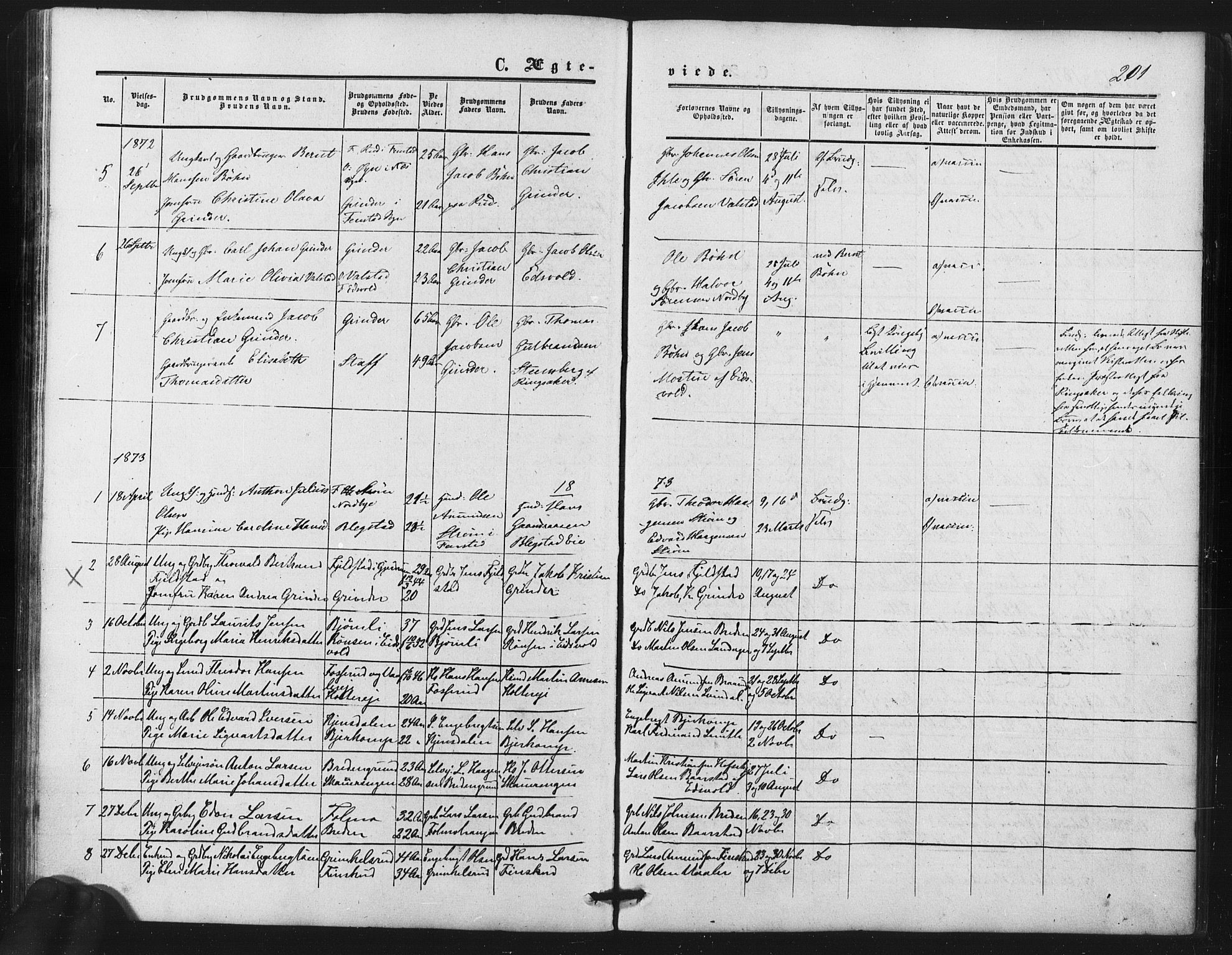 Nes prestekontor Kirkebøker, SAO/A-10410/F/Fb/L0001: Ministerialbok nr. II 1, 1859-1882, s. 201