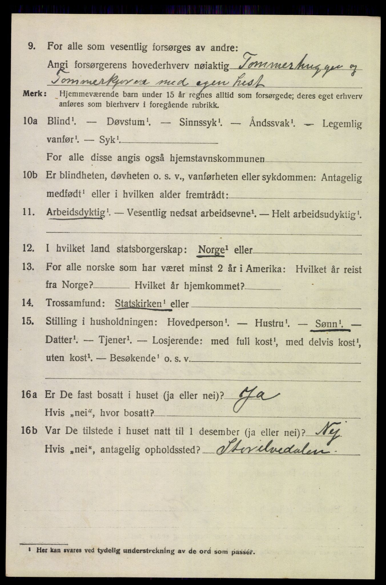 SAH, Folketelling 1920 for 0428 Trysil herred, 1920, s. 15238