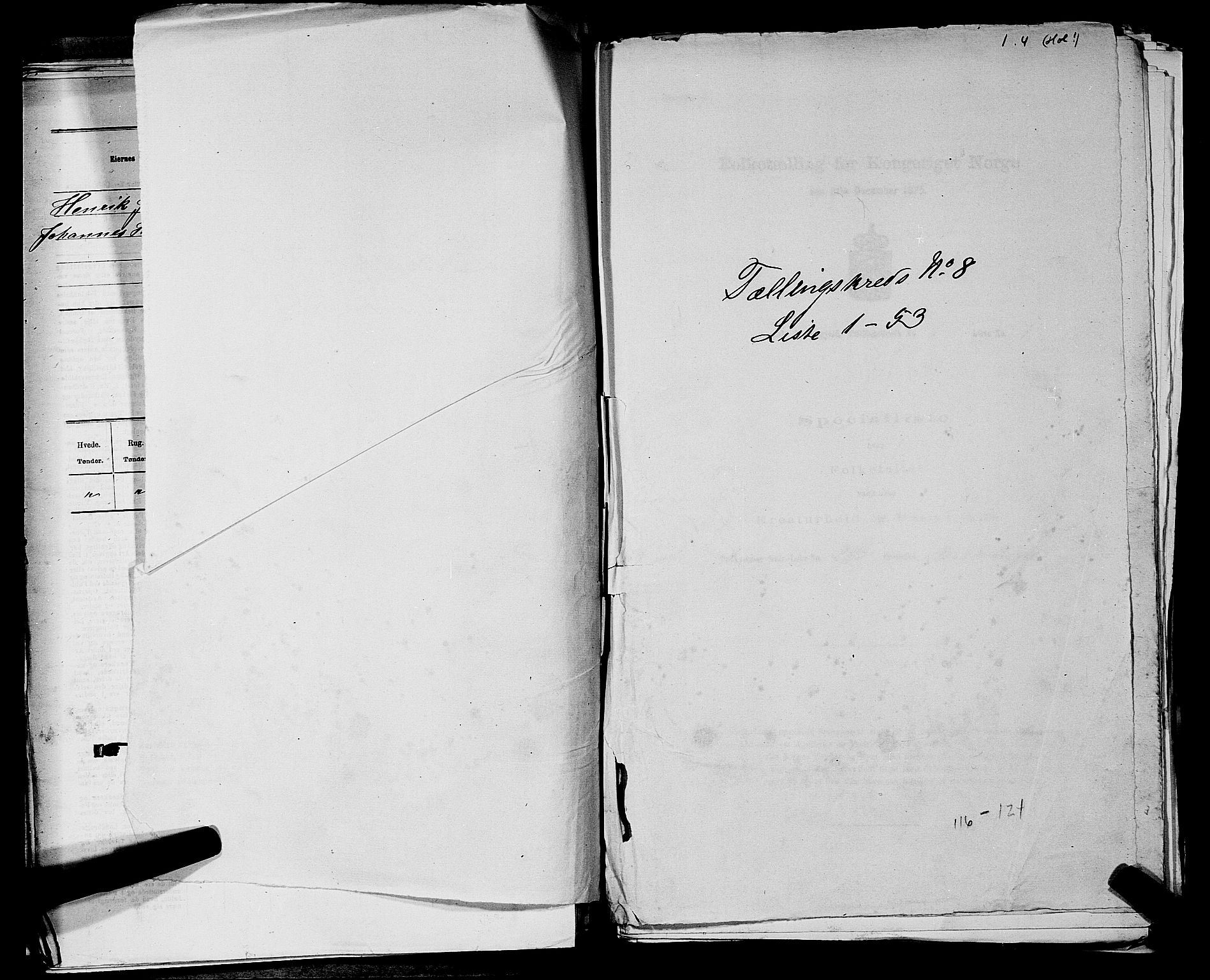 SAKO, Folketelling 1875 for 0619P Ål prestegjeld, 1875, s. 979
