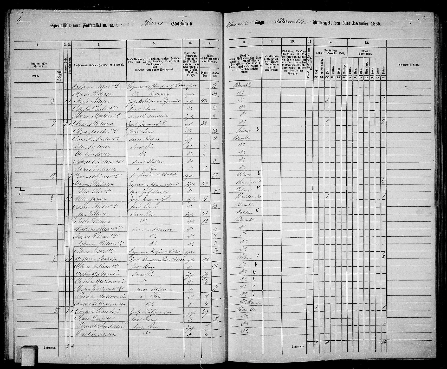 RA, Folketelling 1865 for 0814P Bamble prestegjeld, 1865, s. 30