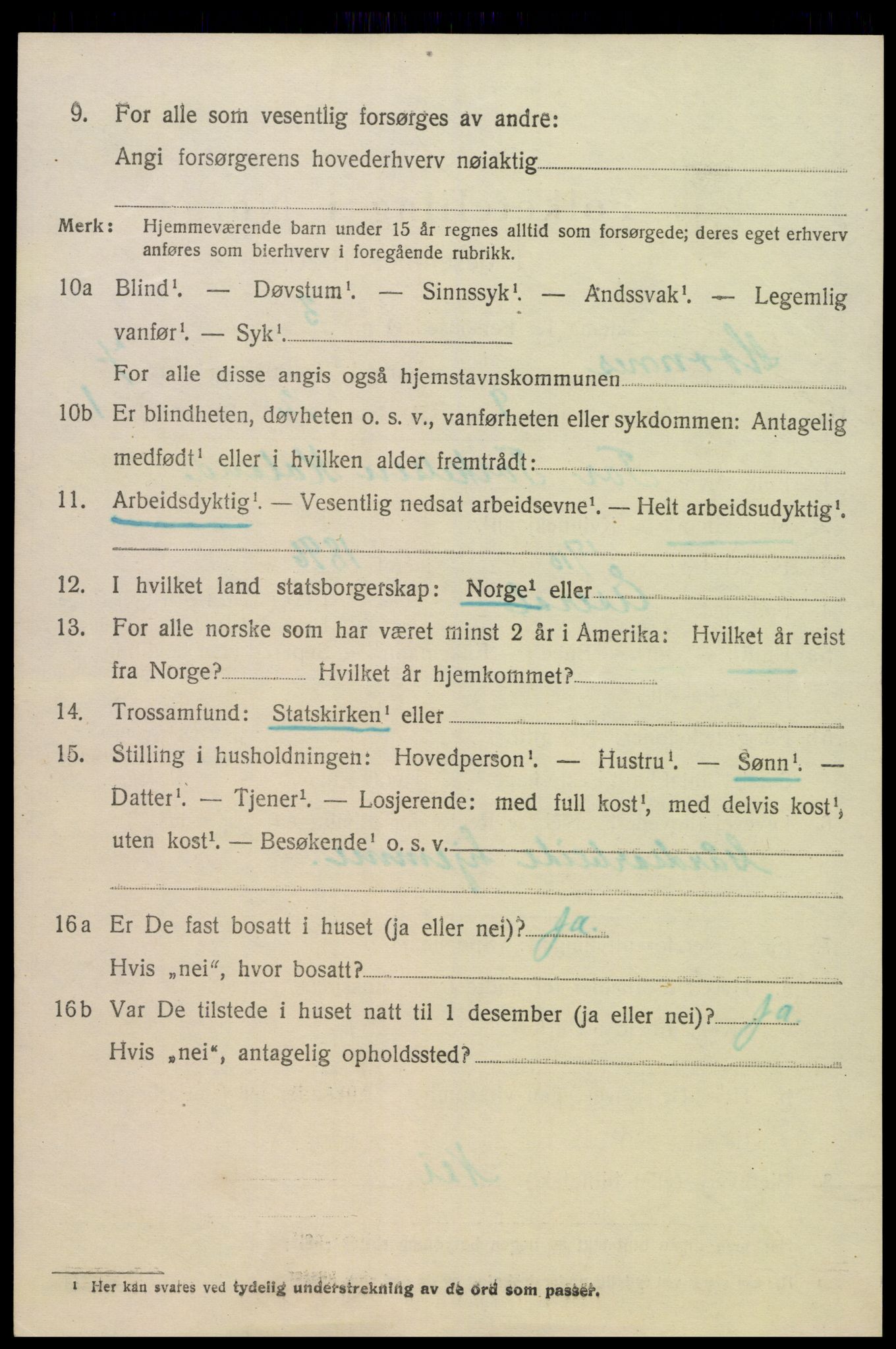 SAK, Folketelling 1920 for 0936 Hornnes herred, 1920, s. 1752