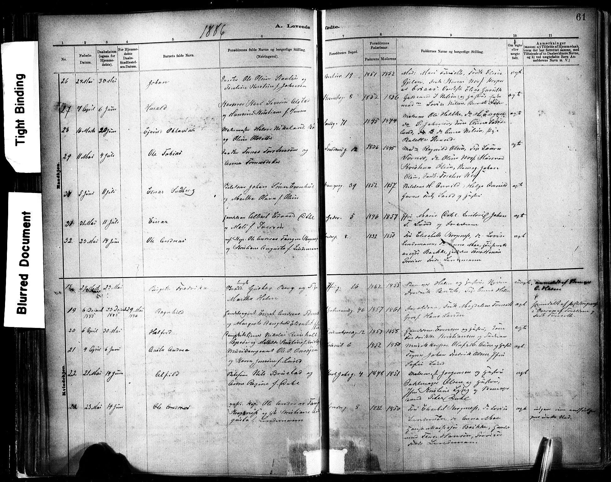 Ministerialprotokoller, klokkerbøker og fødselsregistre - Sør-Trøndelag, SAT/A-1456/602/L0119: Ministerialbok nr. 602A17, 1880-1901, s. 61