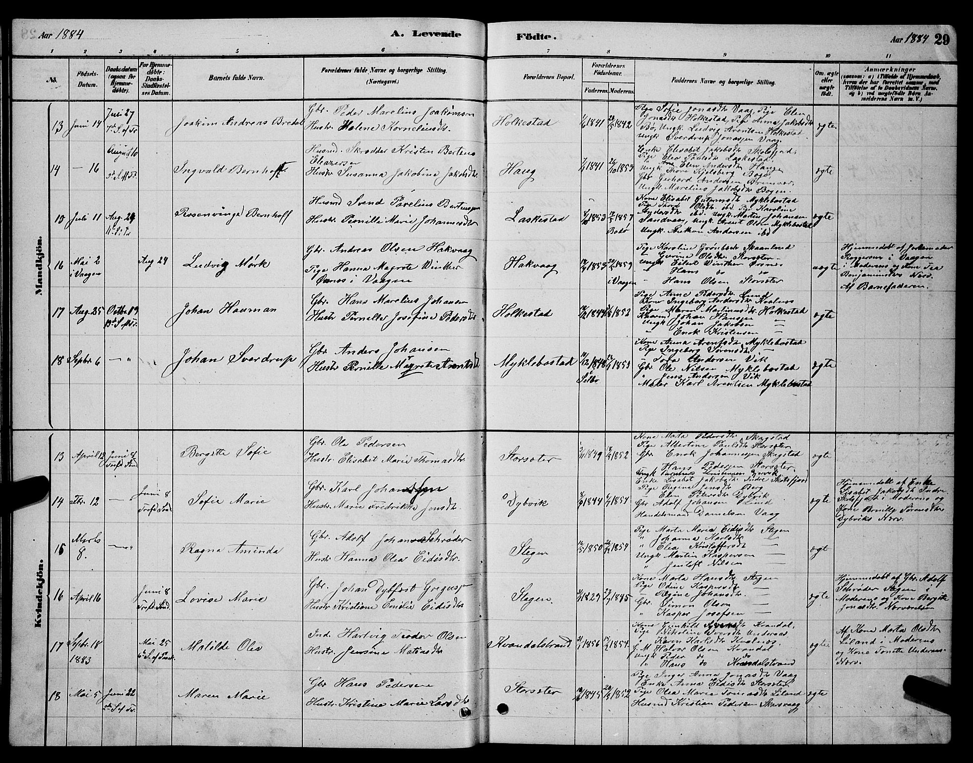 Ministerialprotokoller, klokkerbøker og fødselsregistre - Nordland, AV/SAT-A-1459/855/L0816: Klokkerbok nr. 855C05, 1879-1894, s. 29