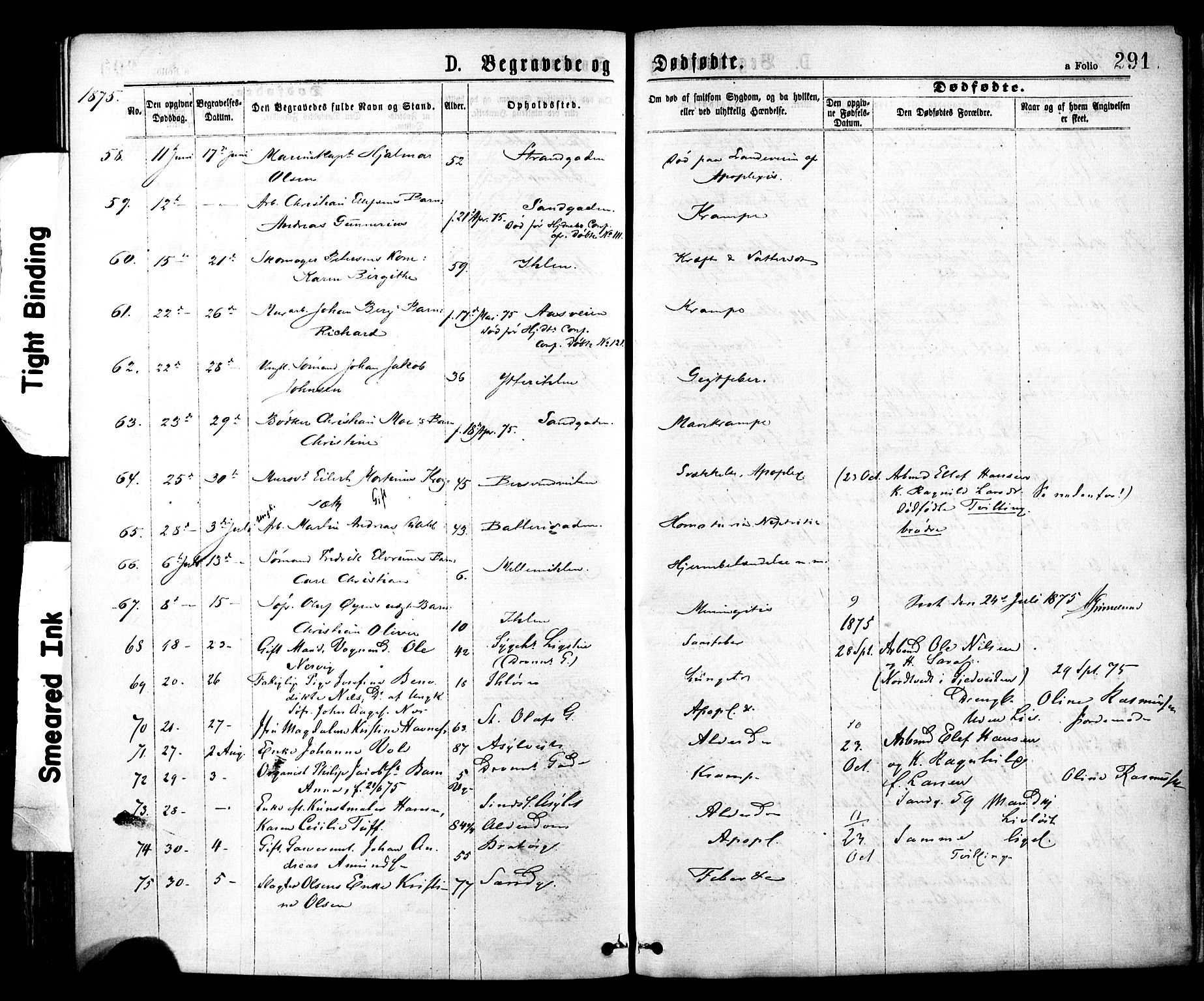 Ministerialprotokoller, klokkerbøker og fødselsregistre - Sør-Trøndelag, AV/SAT-A-1456/602/L0118: Ministerialbok nr. 602A16, 1873-1879, s. 291