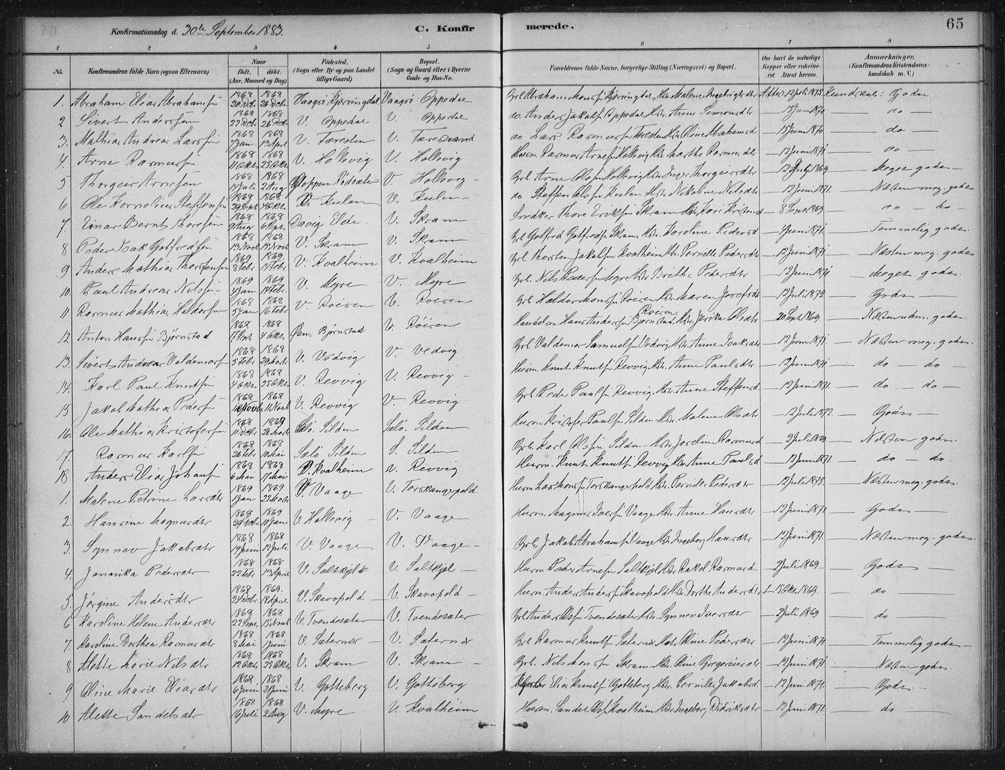 Selje sokneprestembete, AV/SAB-A-99938/H/Ha/Haa/Haac/L0001: Ministerialbok nr. C  1, 1881-1888, s. 65