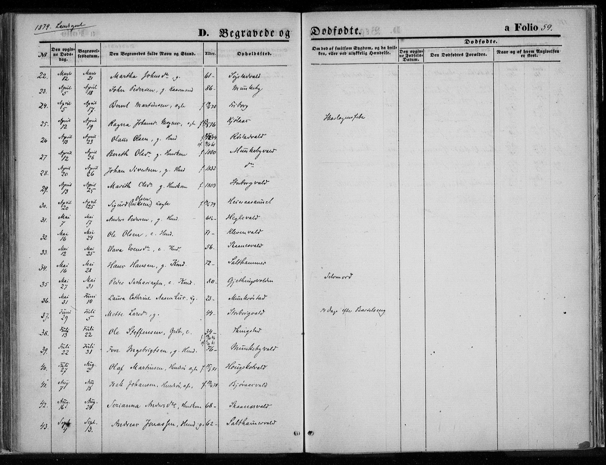 Ministerialprotokoller, klokkerbøker og fødselsregistre - Nord-Trøndelag, AV/SAT-A-1458/720/L0187: Ministerialbok nr. 720A04 /2, 1875-1879, s. 59